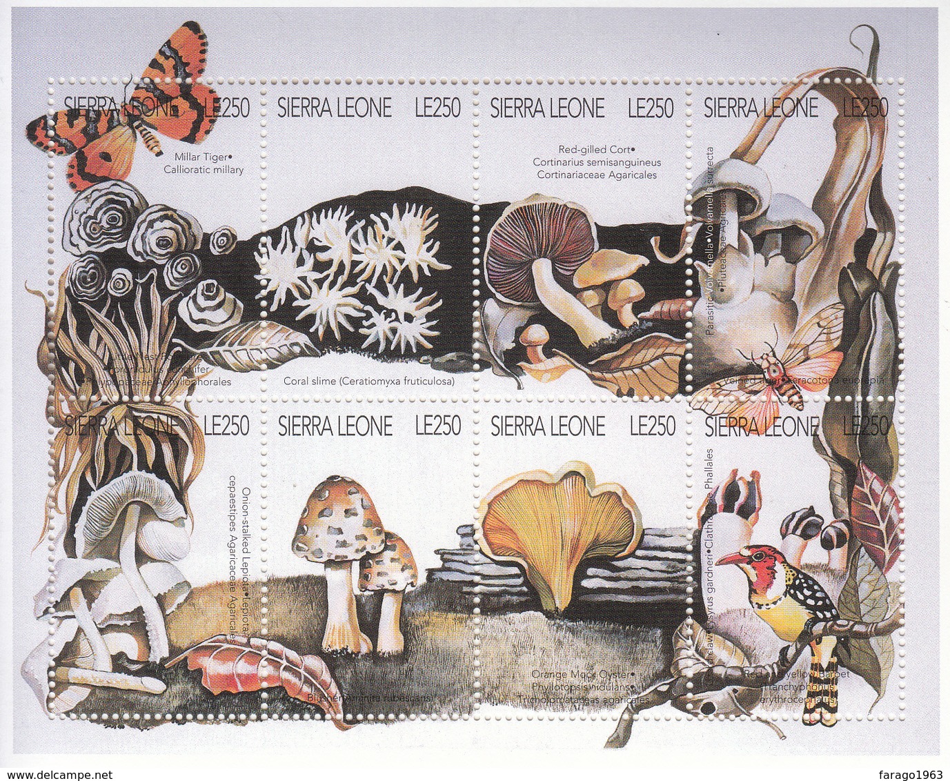 1996 Sierra Leone  Mushrooms Fungi Insects Frogs Complete Set Of 4 Sheets MNH - Sierra Leone (1961-...)