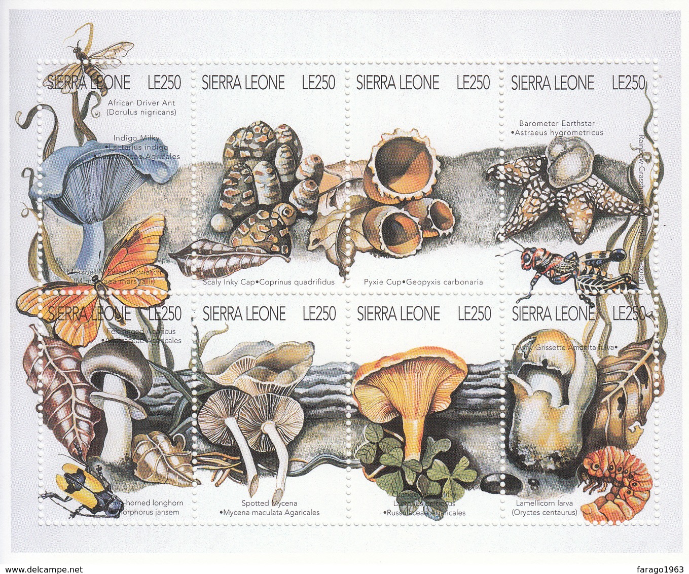 1996 Sierra Leone  Mushrooms Fungi Insects Frogs Complete Set Of 4 Sheets MNH - Sierra Leone (1961-...)