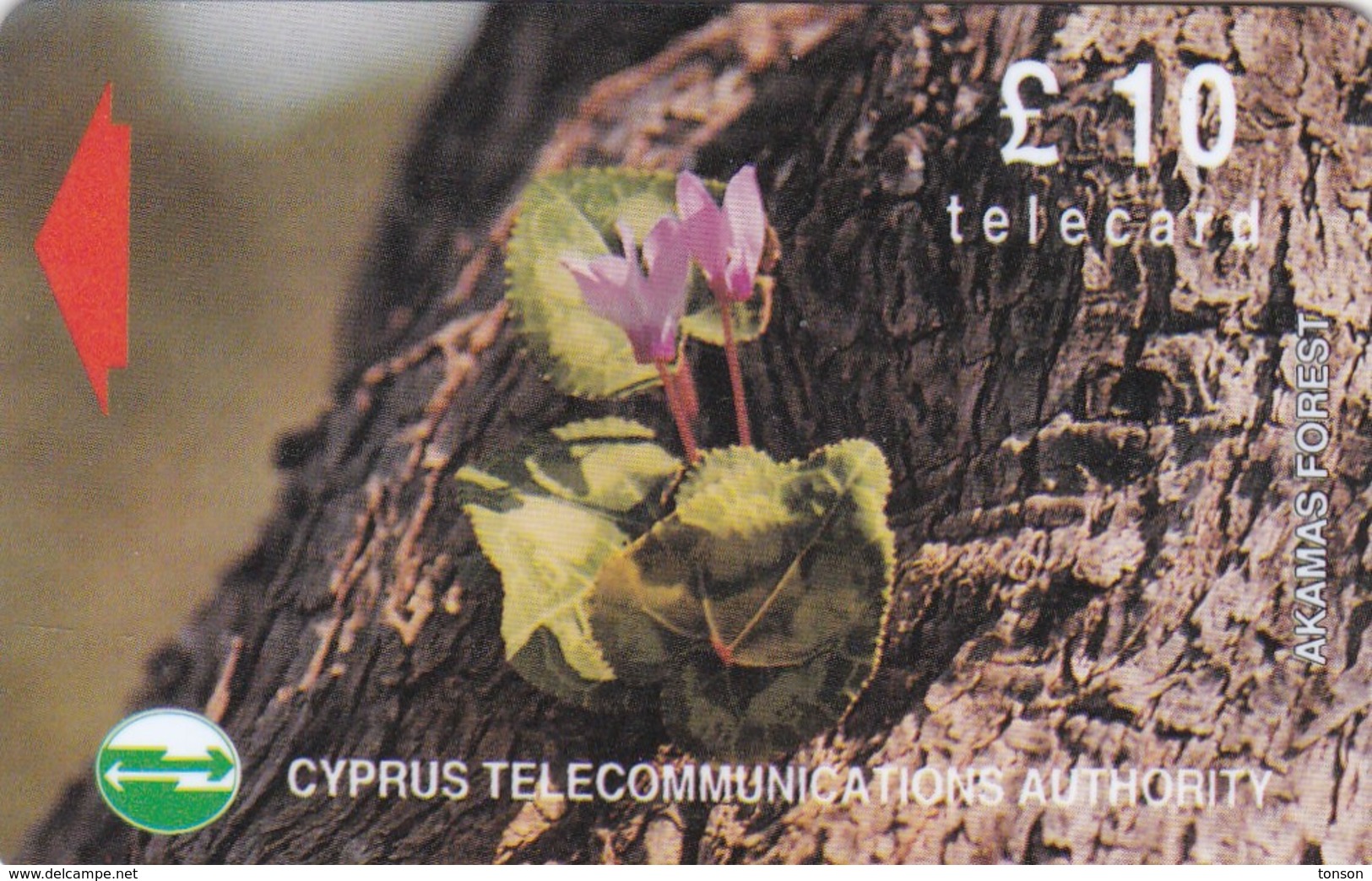 Cyprus, CYP-M-51, 16CYPC, £10 Wild Flowers Of Akamas Forest, Gray Stripe On Backside, 2 Scans. - Cyprus