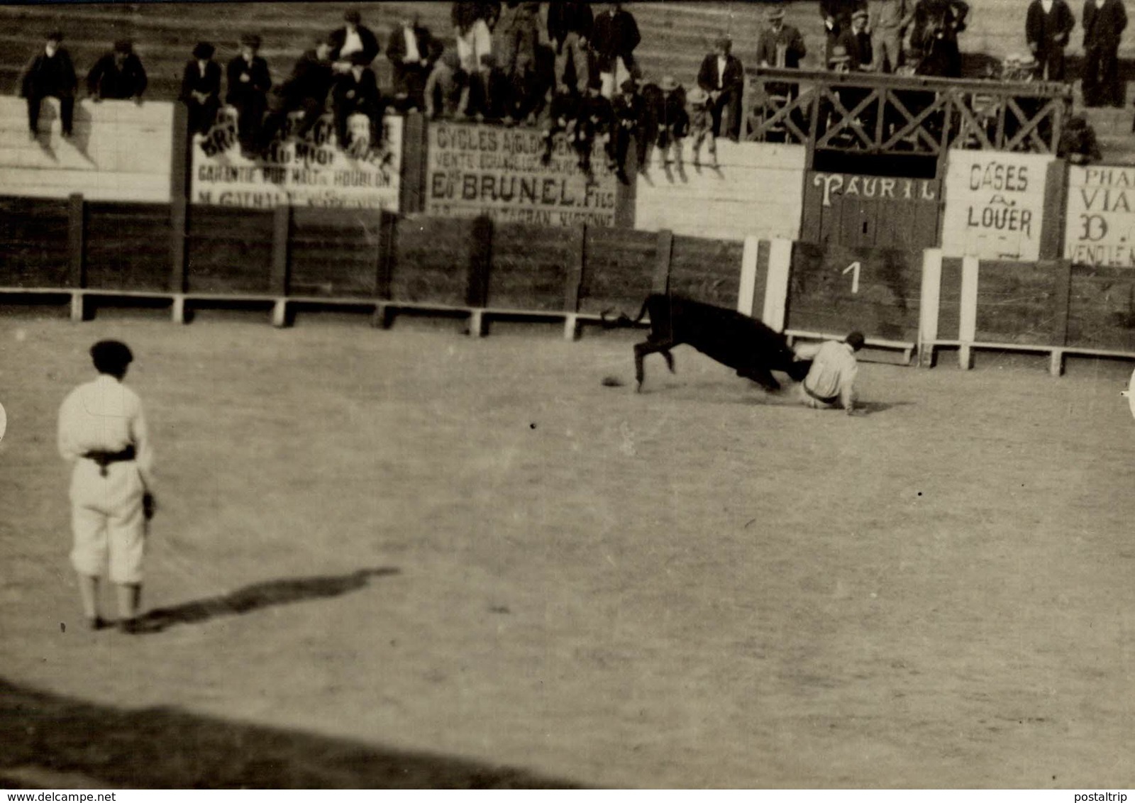 TAUREAUX VAQUILLAS TOROS NARBONNE  16*12CM Fonds Victor FORBIN 1864-1947 - Otros & Sin Clasificación