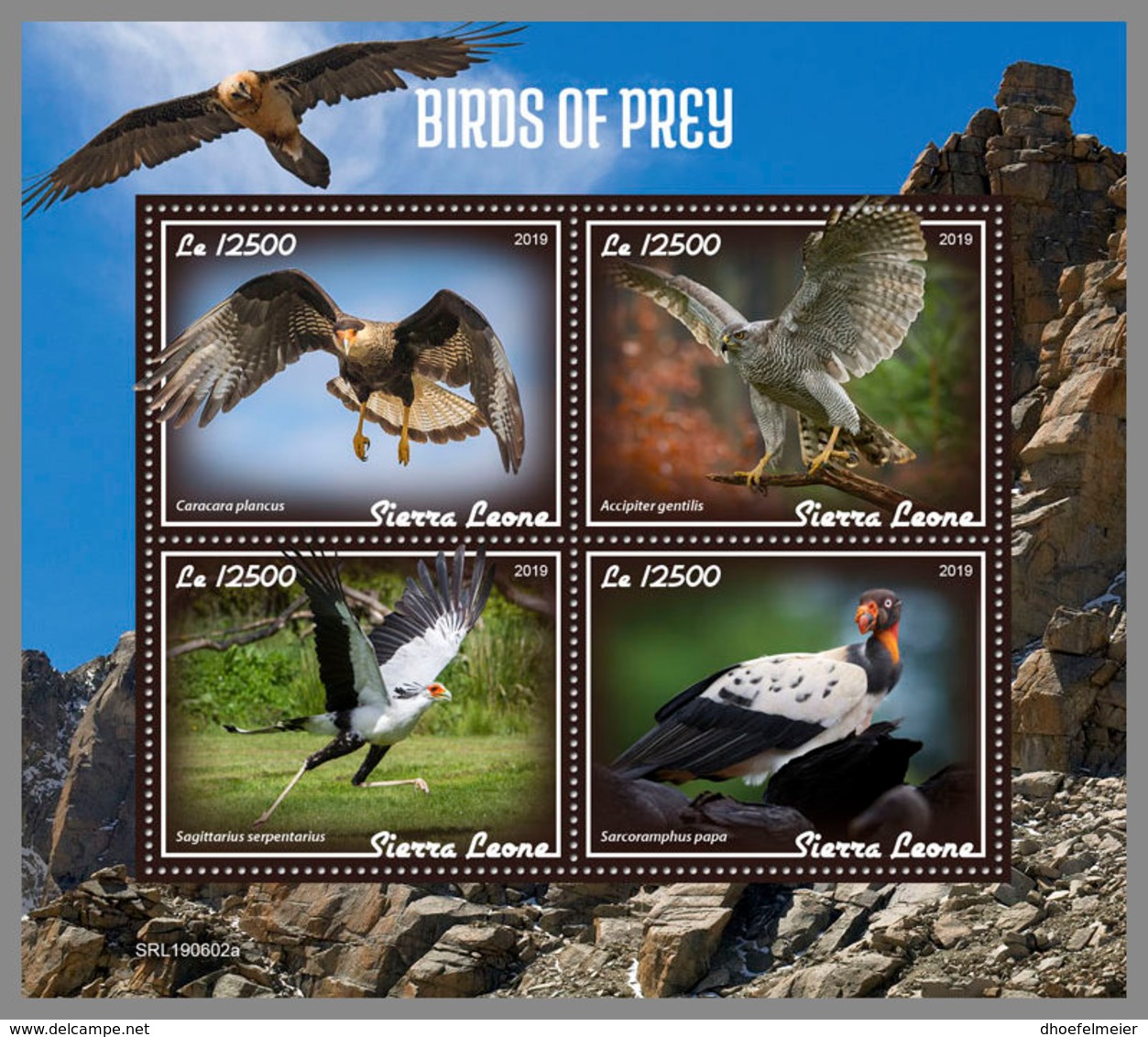 SIERRA LEONE 2019 MNH Birds Of Prey Greifvögel Raubvögel Oiseaux De Proie M/S - OFFICIAL ISSUE - DH1931 - Adler & Greifvögel