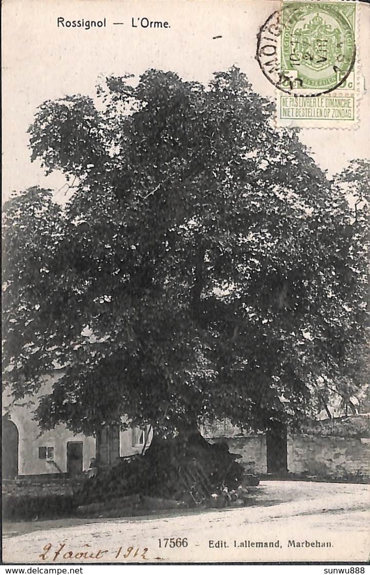 Rossignol - L'Orme (arbre Remarquable, Edit. Lallemand 1912) - Tintigny