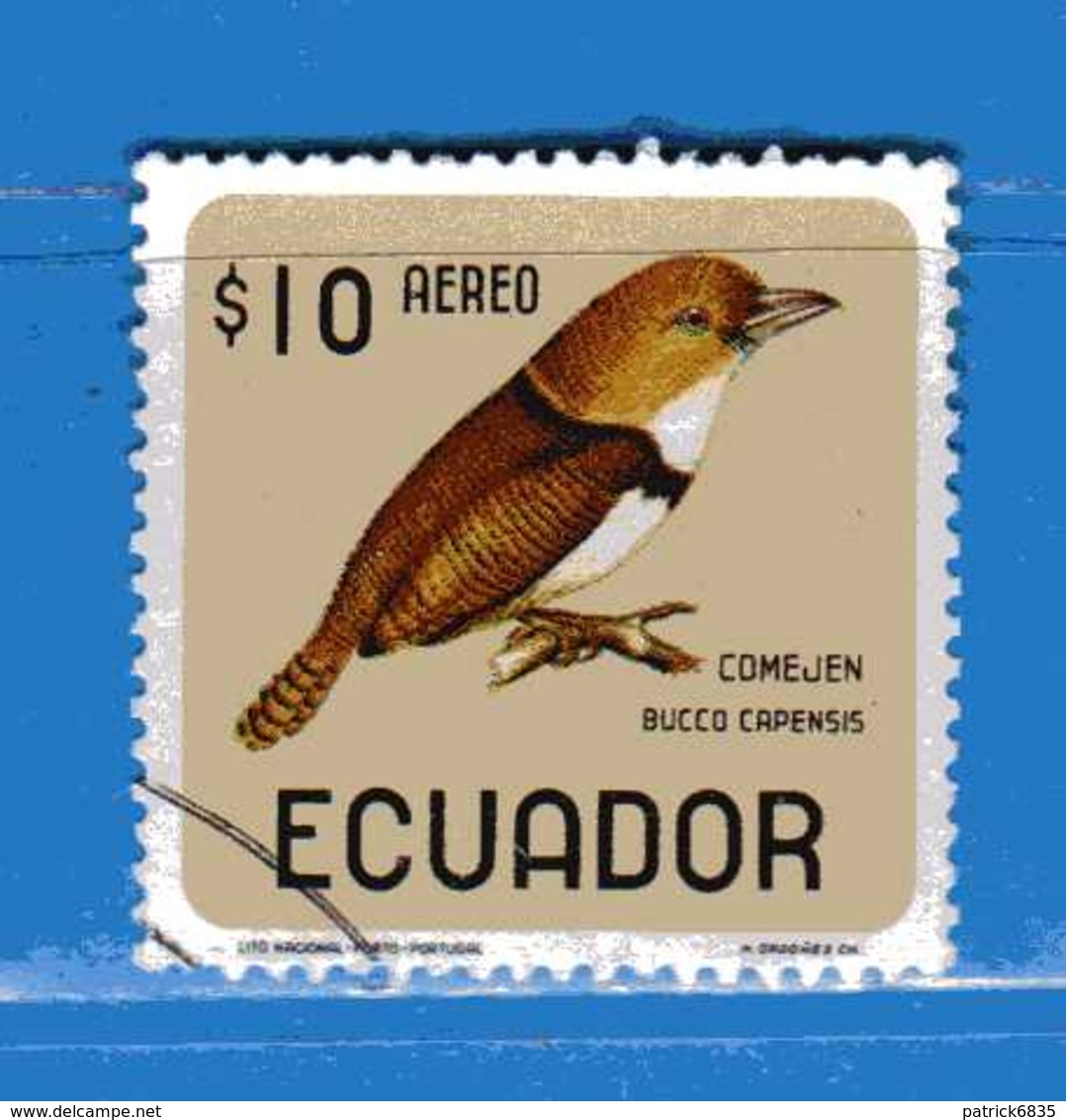 Ecuador °- 1966 - Oiseaux - Birds - BUCCO.  Yvert. 449  -  Used. - Ecuador