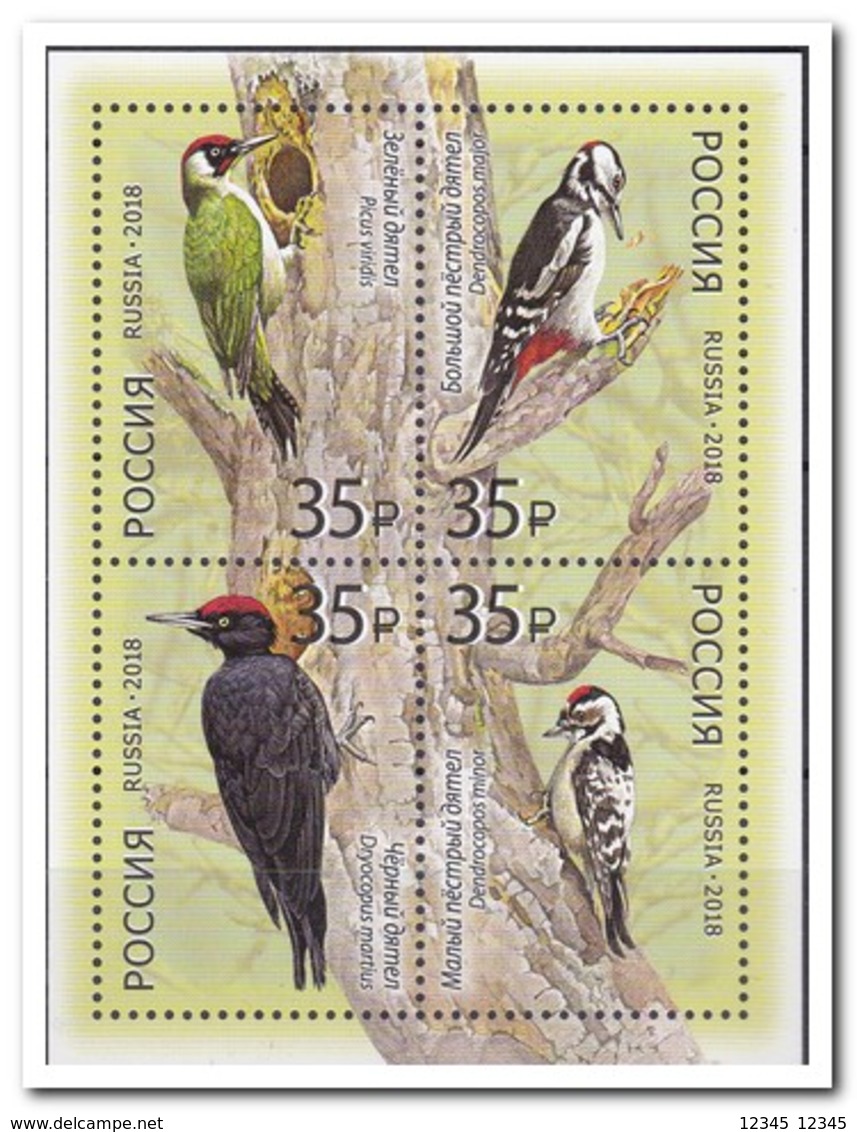 Rusland 2018, Postfris MNH, Birds - Ongebruikt