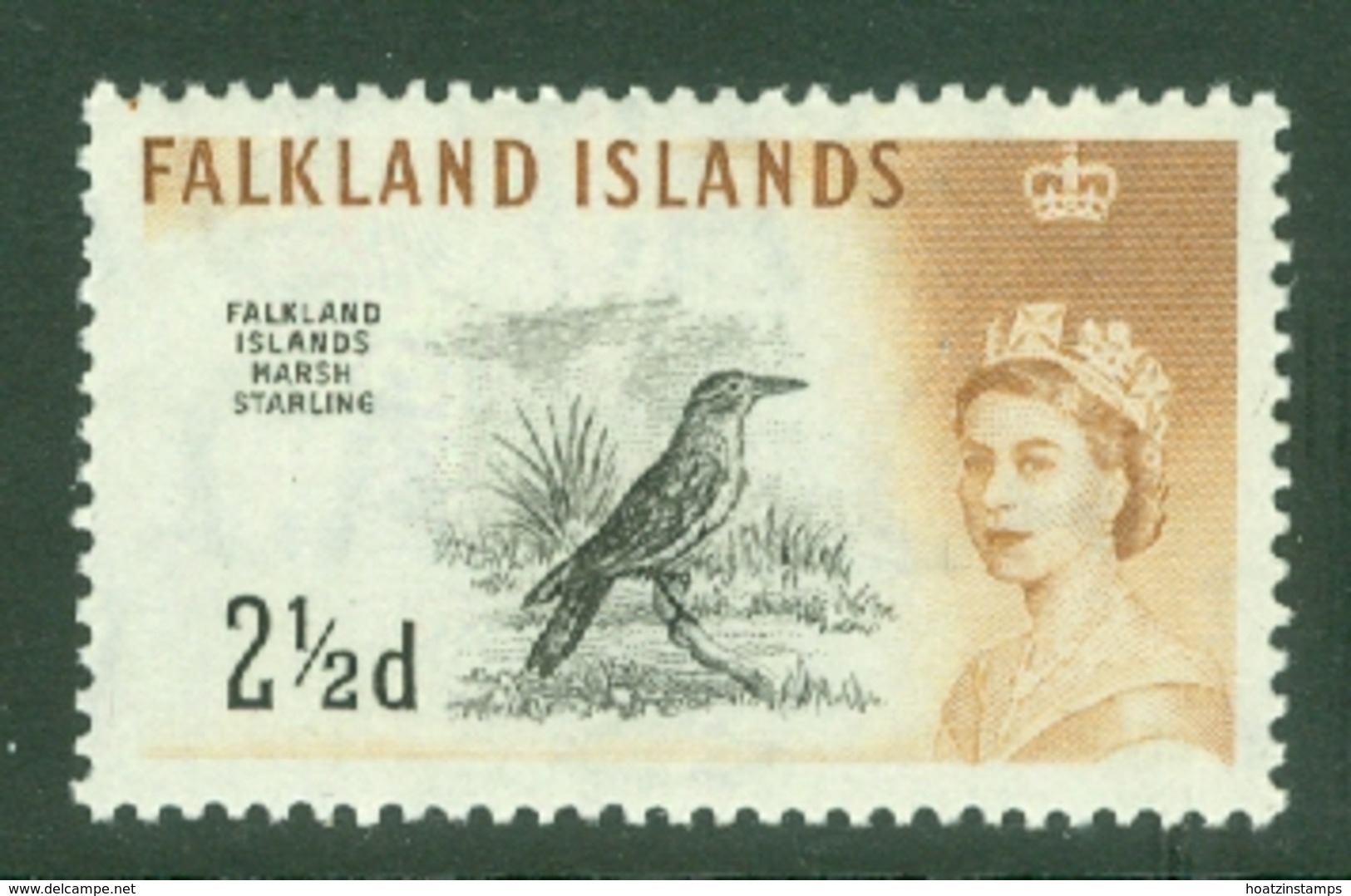 Falkland Is: 1960/66   QE II - Birds   SG196    2½d      MNH - Falkland Islands