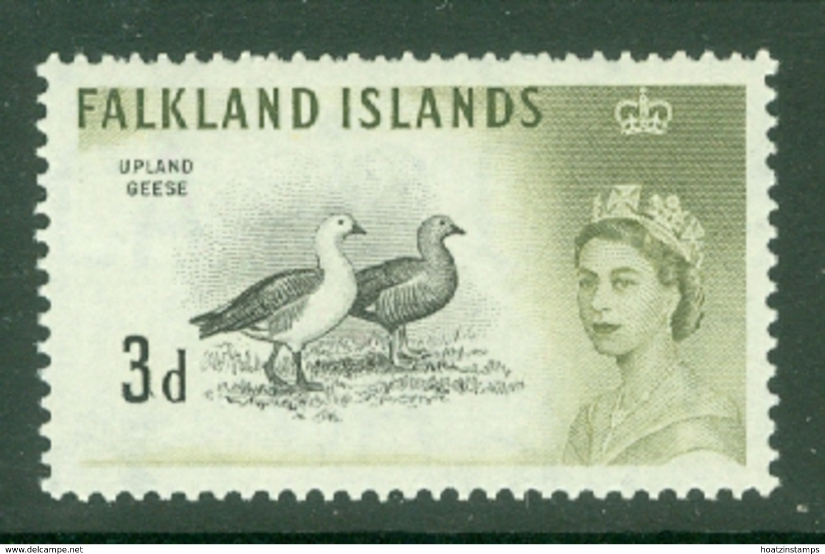 Falkland Is: 1960/66   QE II - Birds   SG197    3d      MNH - Falkland Islands