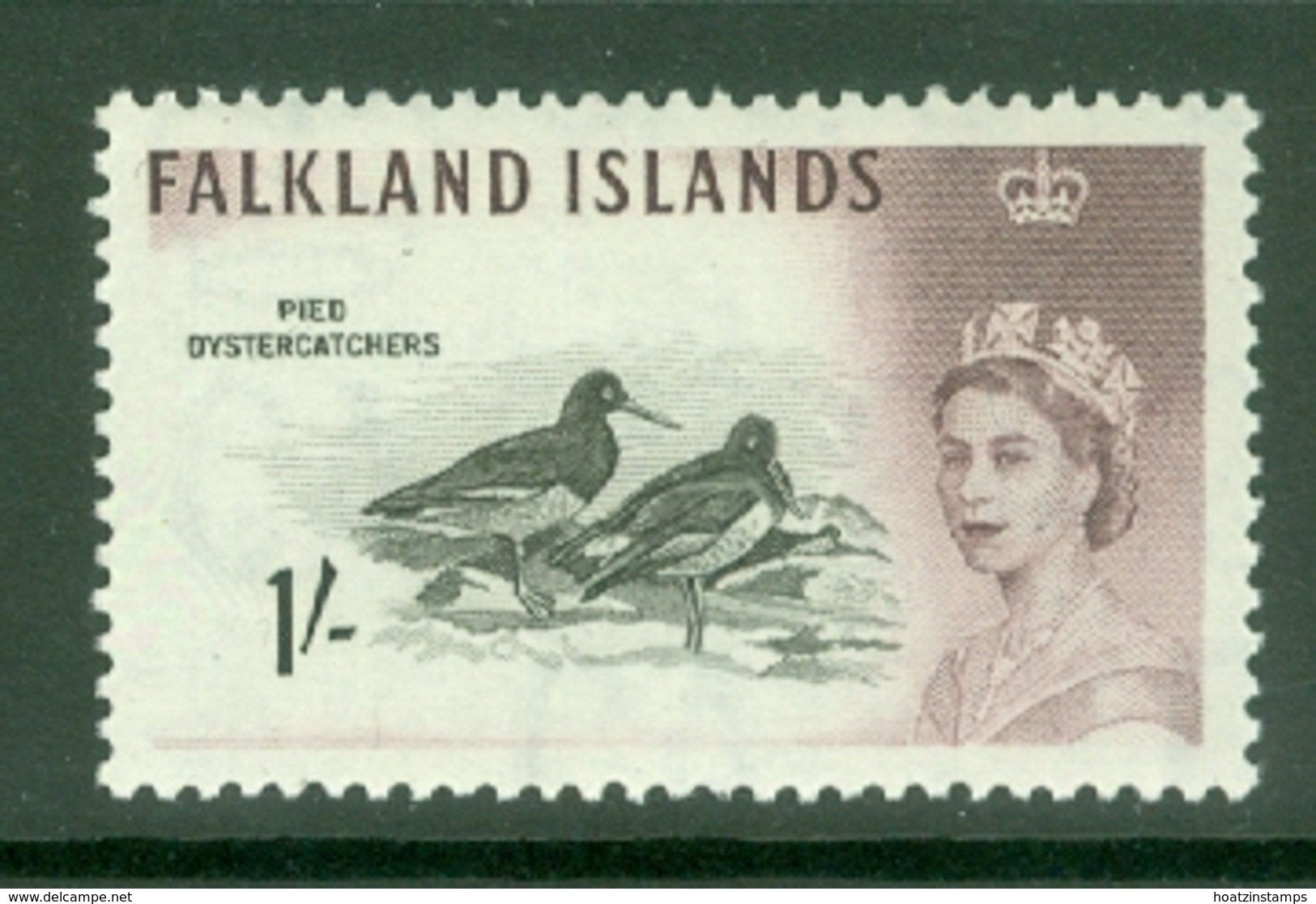 Falkland Is: 1960/66   QE II - Birds   SG202    1/-      MNH - Falkland Islands