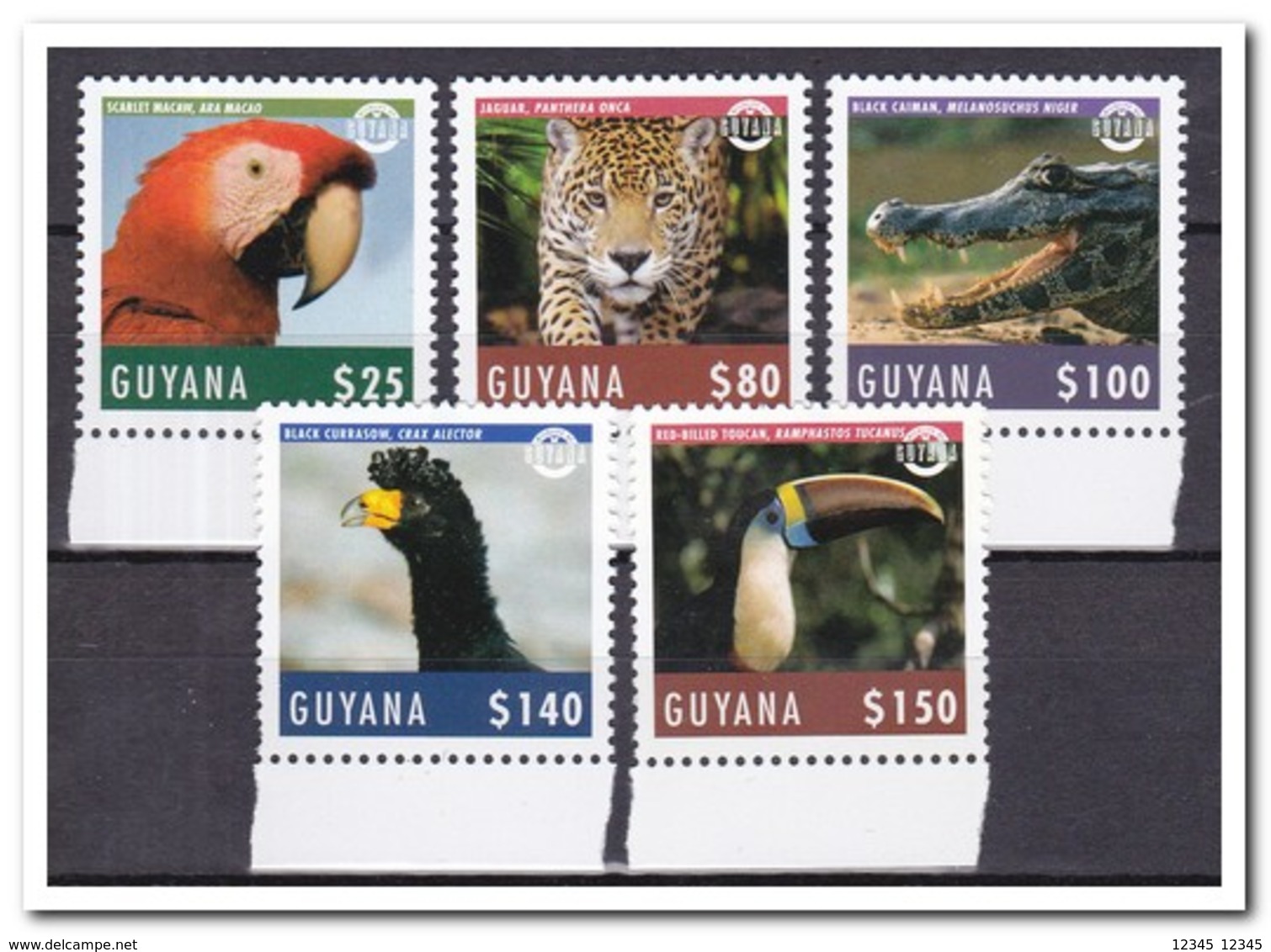 Guyana 2018, Postfris MNH, Birds, Animals - Guyana (1966-...)