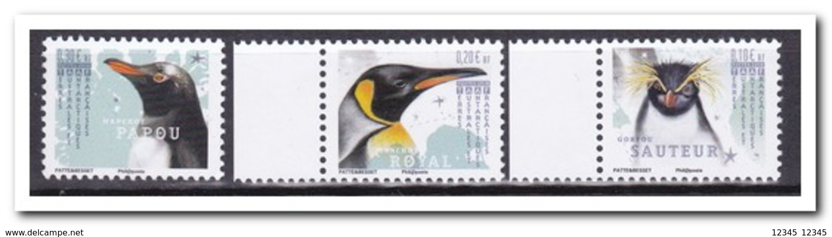 TAAF 2018, Postfris MNH, Birds - Ongebruikt