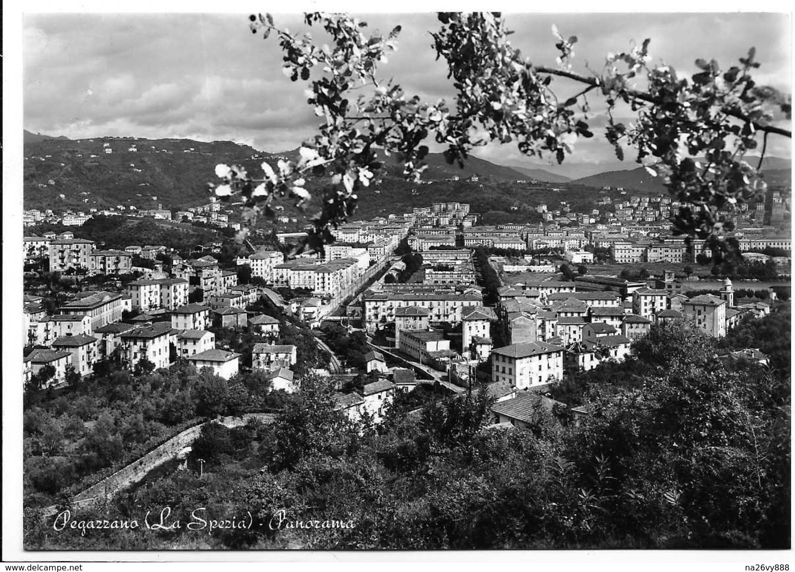 Pegazzano (La Spezia). Panorama. - La Spezia