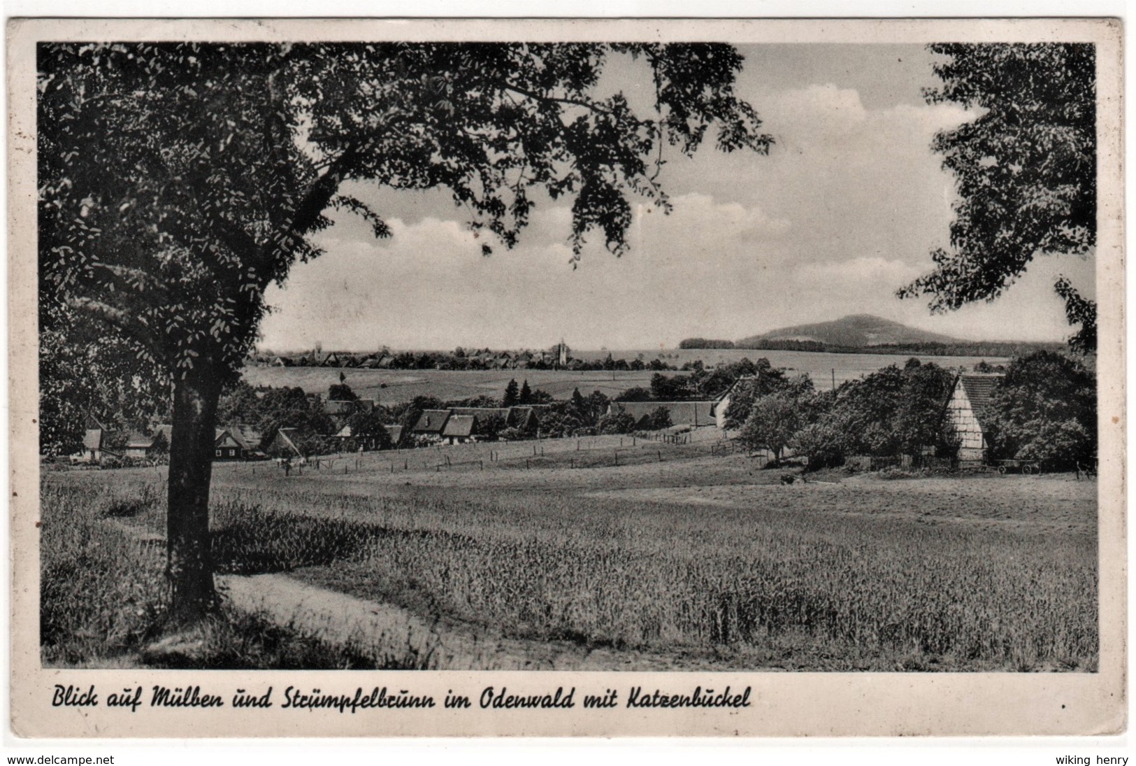 Waldbrunn Mülben - S/w Blick Auf Mülben Und Strümpfelbrunn Im Odenwald Mit Katzenbuckel - Waldbrunn