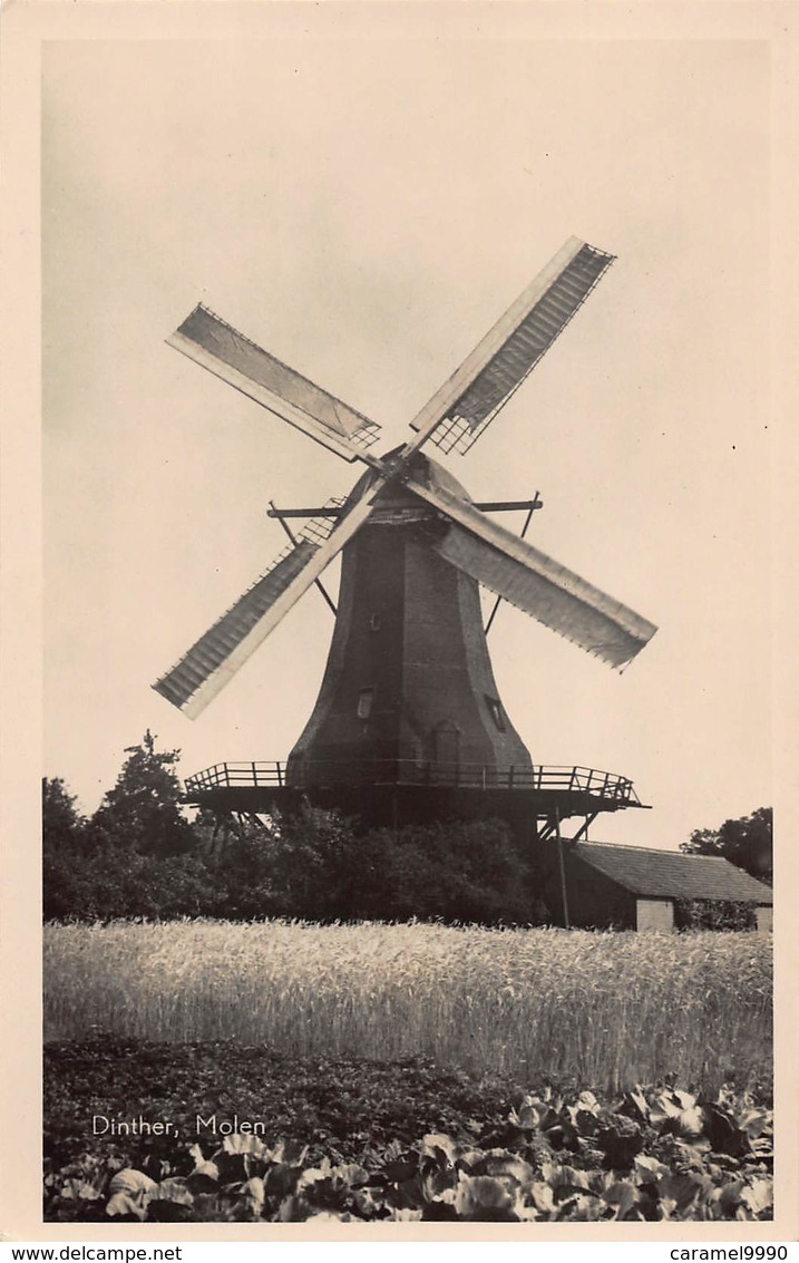 Windmolen Molen Windmill  Moulin à Vent Dinther  Uitgever A. Habraken   Fotokaart    L 508 - Moulins à Vent