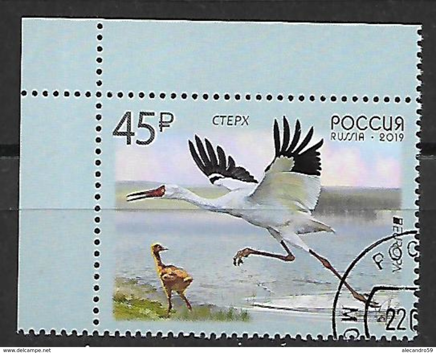 Russia  2019 EUROPA Stamps - National Birds  Used CTO - Usati