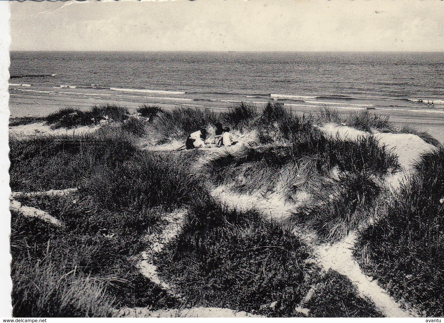 NIEUWPOORT / DE DUINEN - Nieuwpoort