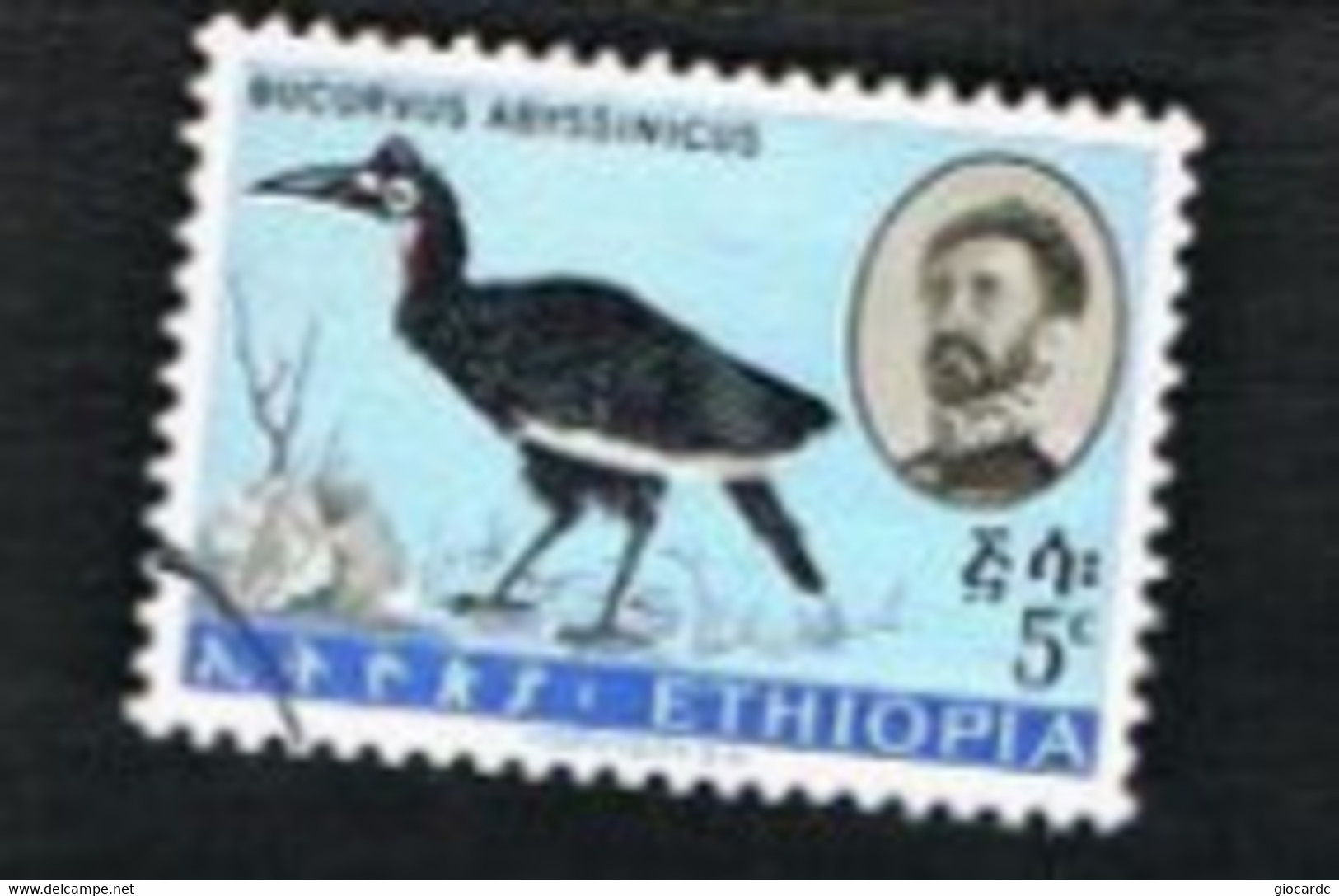 ETIOPIA (ETHIOPIA) -  SG 534 -  1962  BIRDS    - USED ° - Etiopia