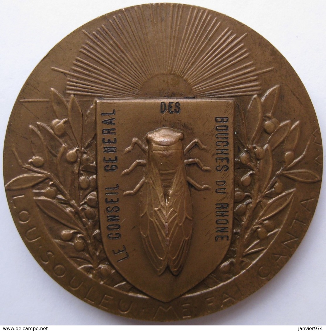 Médaille Frederic Mistral 1830 – 1914. Conseil General Des Bouches Du Rhône Par Anie Mouroux - Autres & Non Classés