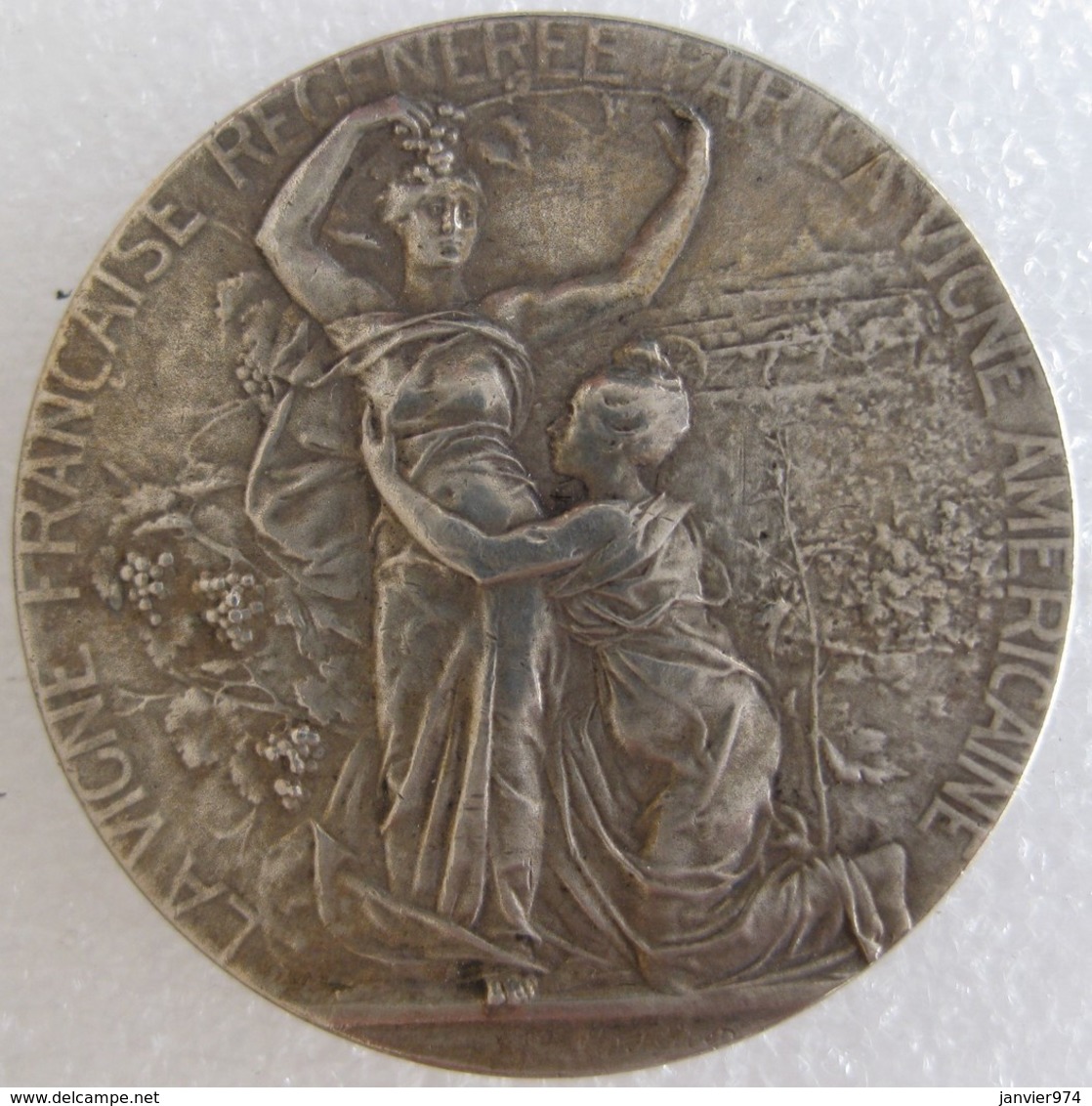 Médaille En Argent  LA VIGNE FRANCAISE REGENEREE PAR LA VIGNE AMERICAINE - Hérault Par Alphonse RIVET - Autres & Non Classés