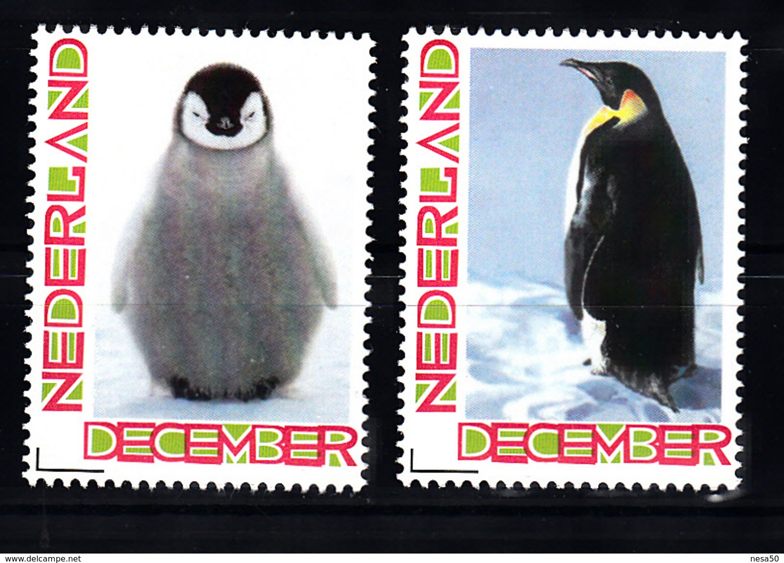 Nederland Persoonlijke Zegel: Pinguins 2 X, Penguin - Unused Stamps