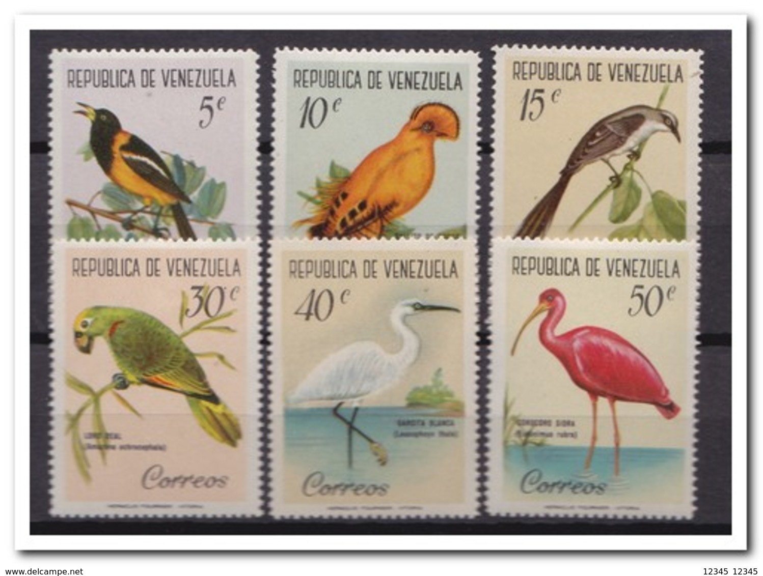 Venezuela 1961, Postfris MNH, Birds ( Tropical Gum ) - Venezuela