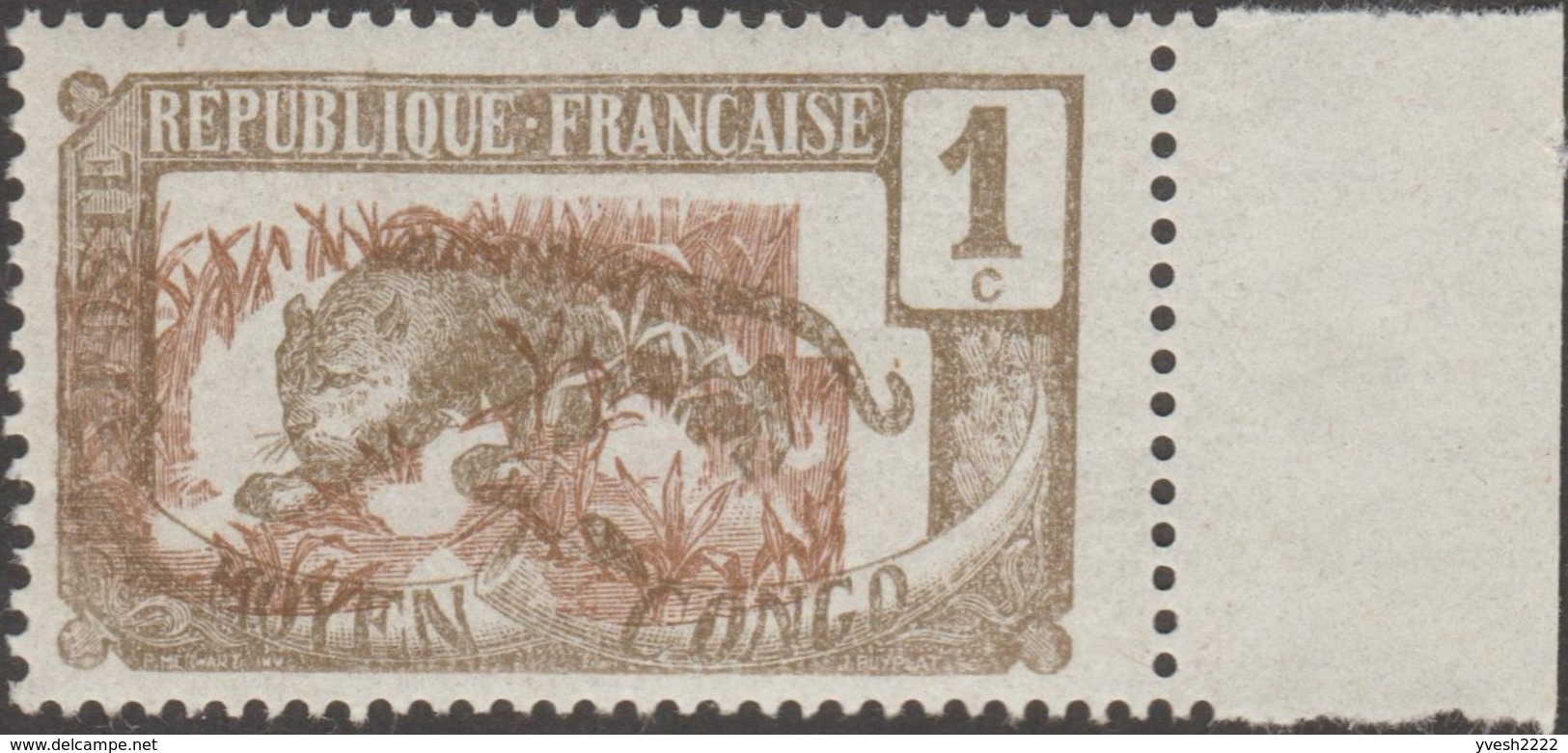 Congo Français 1907 Y&T 48 Xx. Fond Fortement Déplacé. Spectaculaire. Panthère. - Big Cats (cats Of Prey)