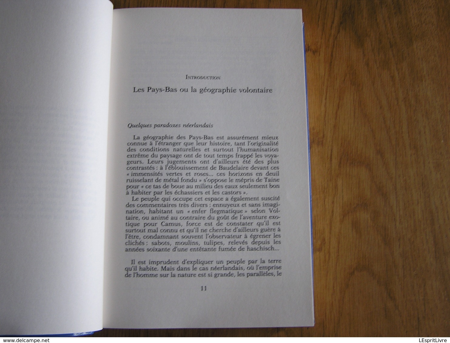 HISTOIRE DES PAYS-BAS Des Origines à Nos Jours Charles Quint Guillaume D'Orange Féodalité Révolution Guerre 14 18 40 45 - History