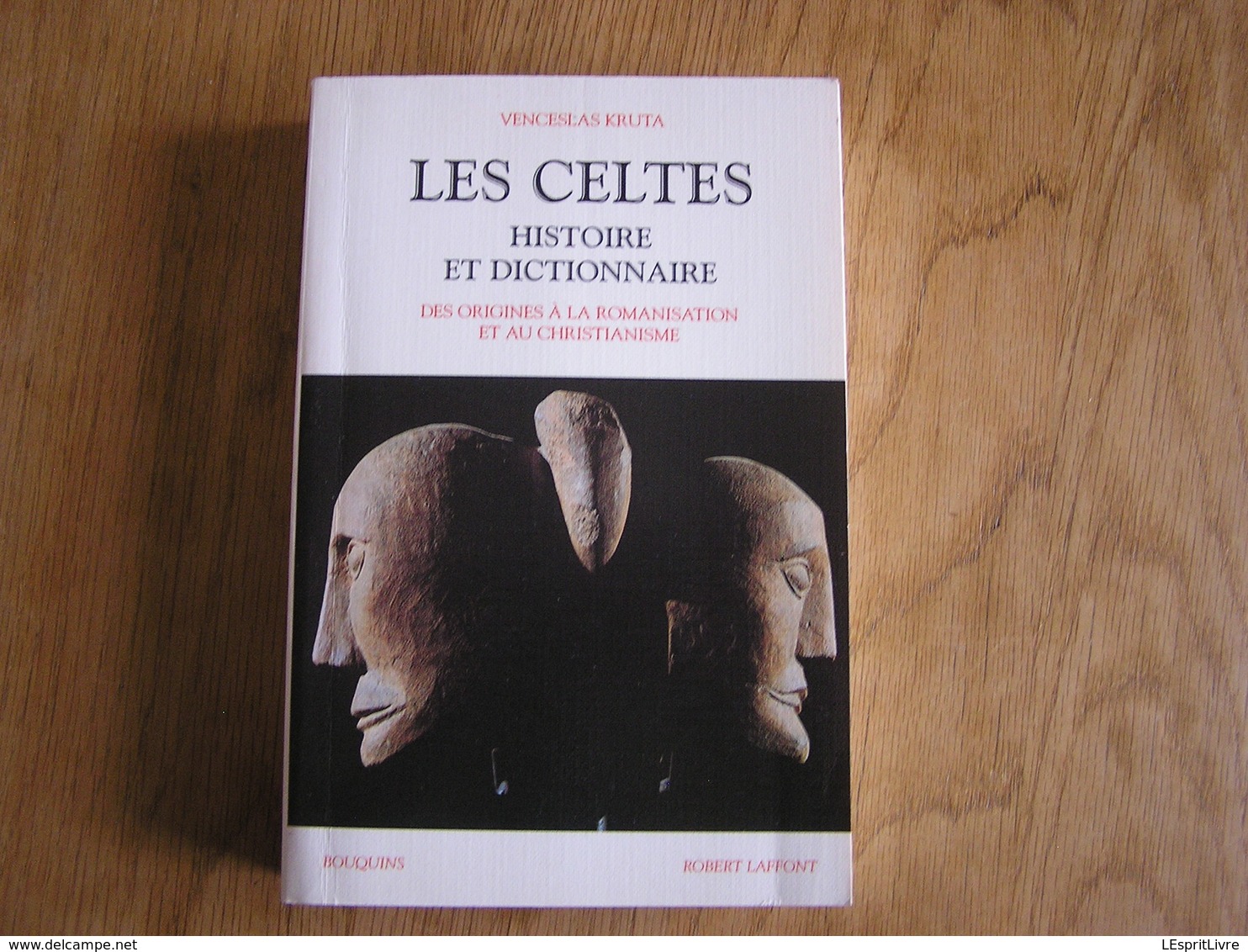 LES CELTES Histoire Et Dictionnaire Des Origines à La Romanisation Et Au Christianisme Moyen Age Europe Gaule France - Histoire