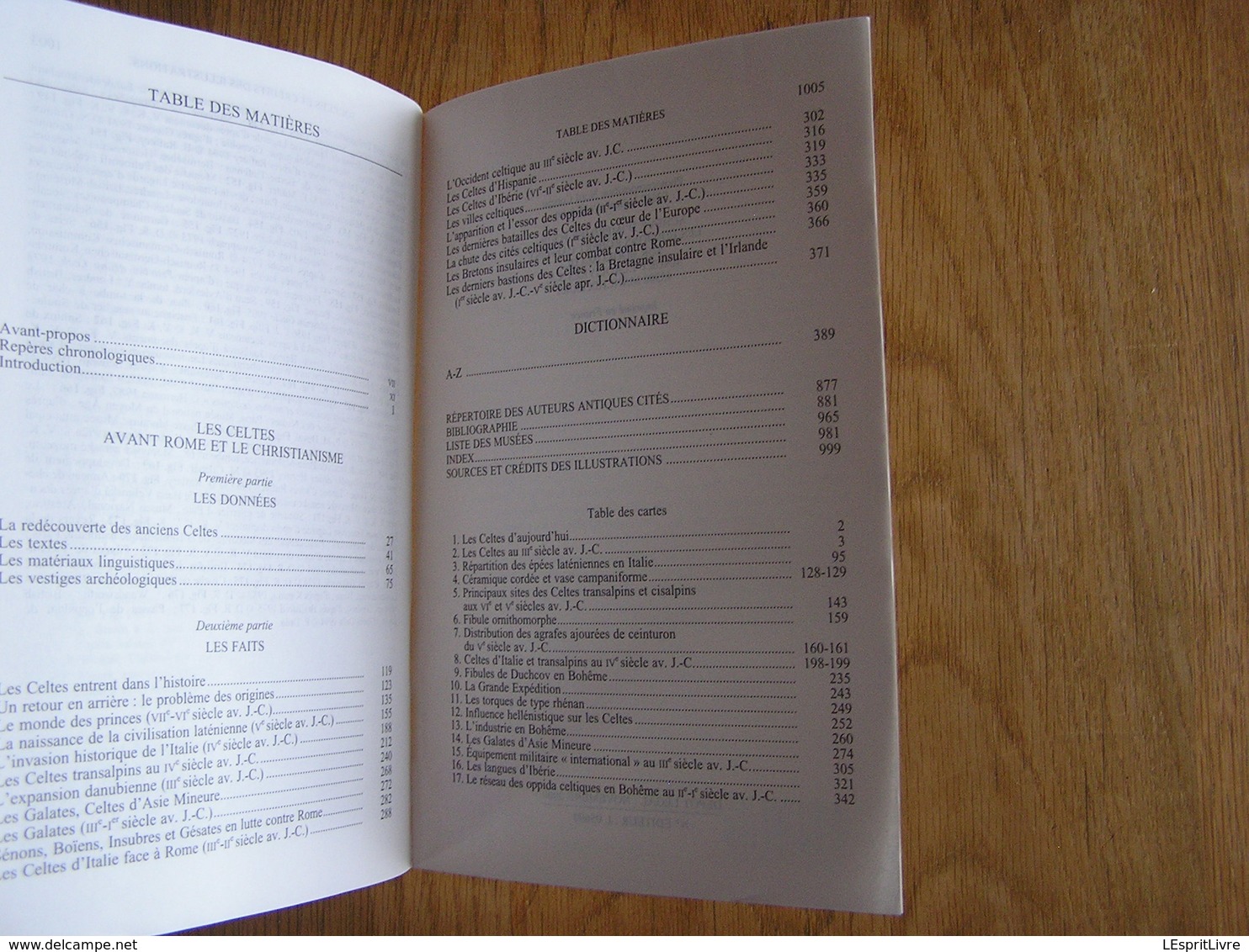 LES CELTES Histoire Et Dictionnaire Des Origines à La Romanisation Et Au Christianisme Moyen Age Europe Gaule France - Histoire