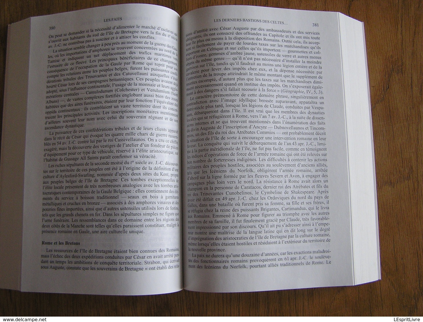 LES CELTES Histoire et Dictionnaire Des Origines à la Romanisation et au Christianisme Moyen Age Europe Gaule France