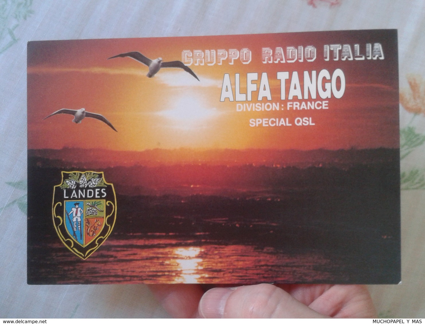 POSTAL POST CARD QSL RADIOAFICIONADOS RADIO AMATEUR GRUPPO ALFA TANGO ITALIA FRANCIA FRANCE LANDES LANDAS GAVIOTAS.....? - Otros & Sin Clasificación