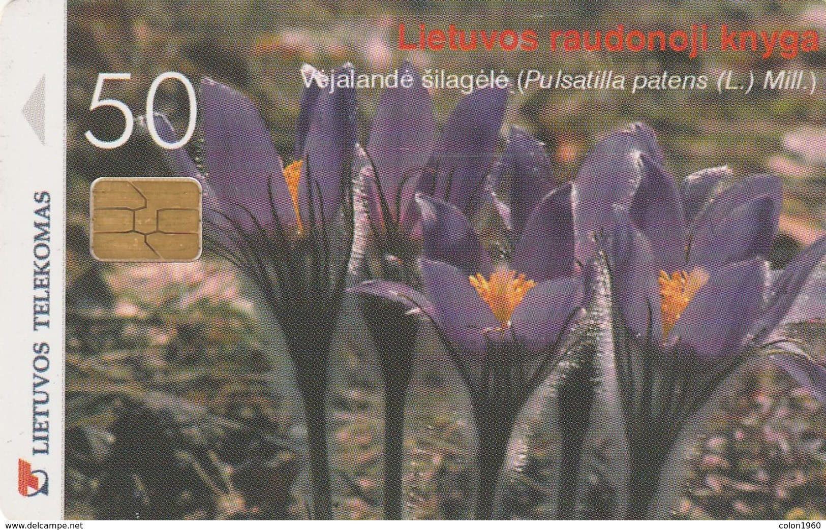 LITUANIA. CHIP. Pasque-Flower. LT-LTV-C043. (008). - Fleurs