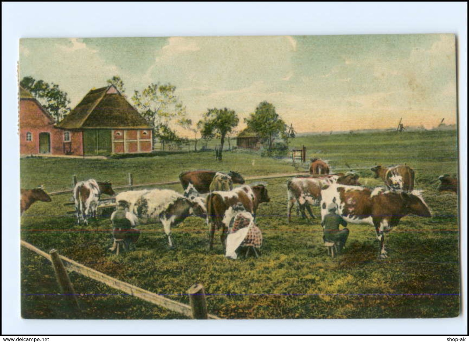 Y10769/ Motiv Ais Der Marsch  (Hackeboe) Kühe Melken Landwirtschaft AK 1908 - Sonstige & Ohne Zuordnung