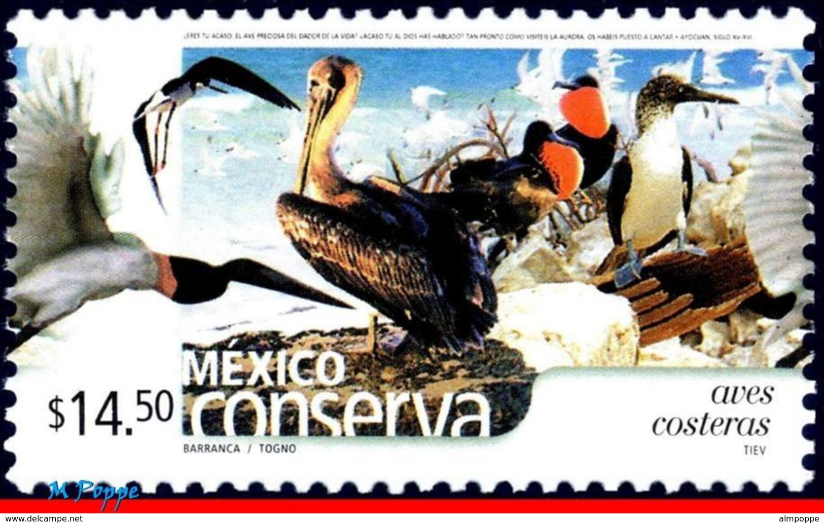 Ref. MX-2434 MEXICO 2005 BIRDS, CONSERVATION, COASTAL, BIRDS, (14.50P), MNH 1V Sc# 2434 - Messico