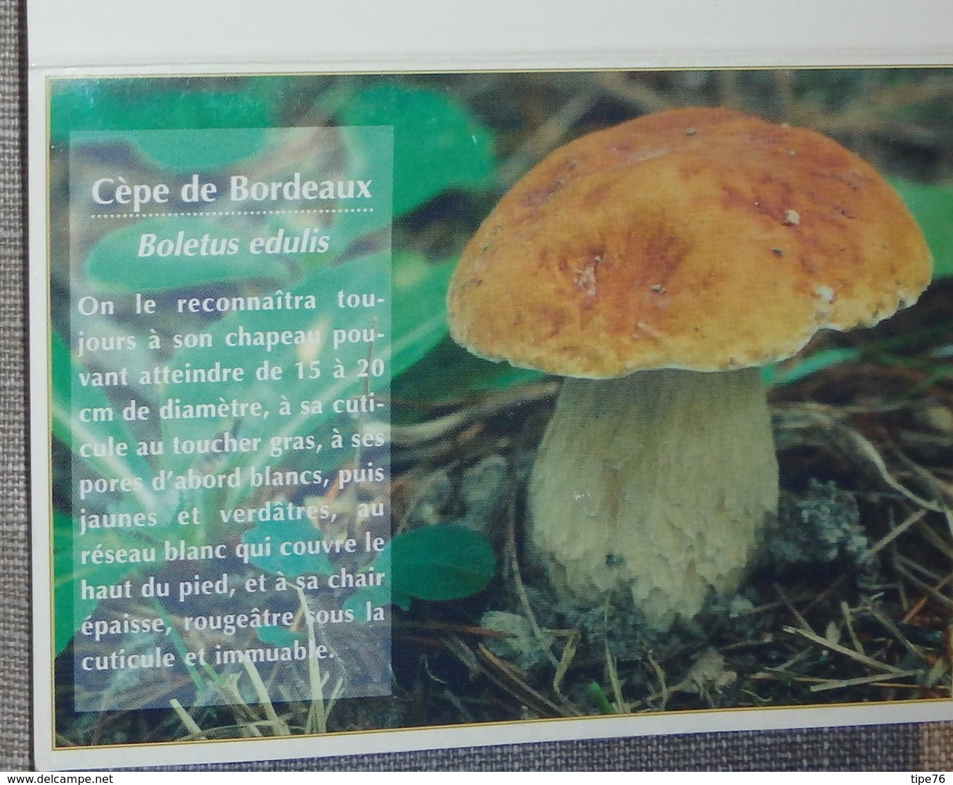 Petit Calendrier De Poche 1997 Champignon Cèpe De Bordeaux  -  Pharmacie Claira - Tamaño Pequeño : 1991-00