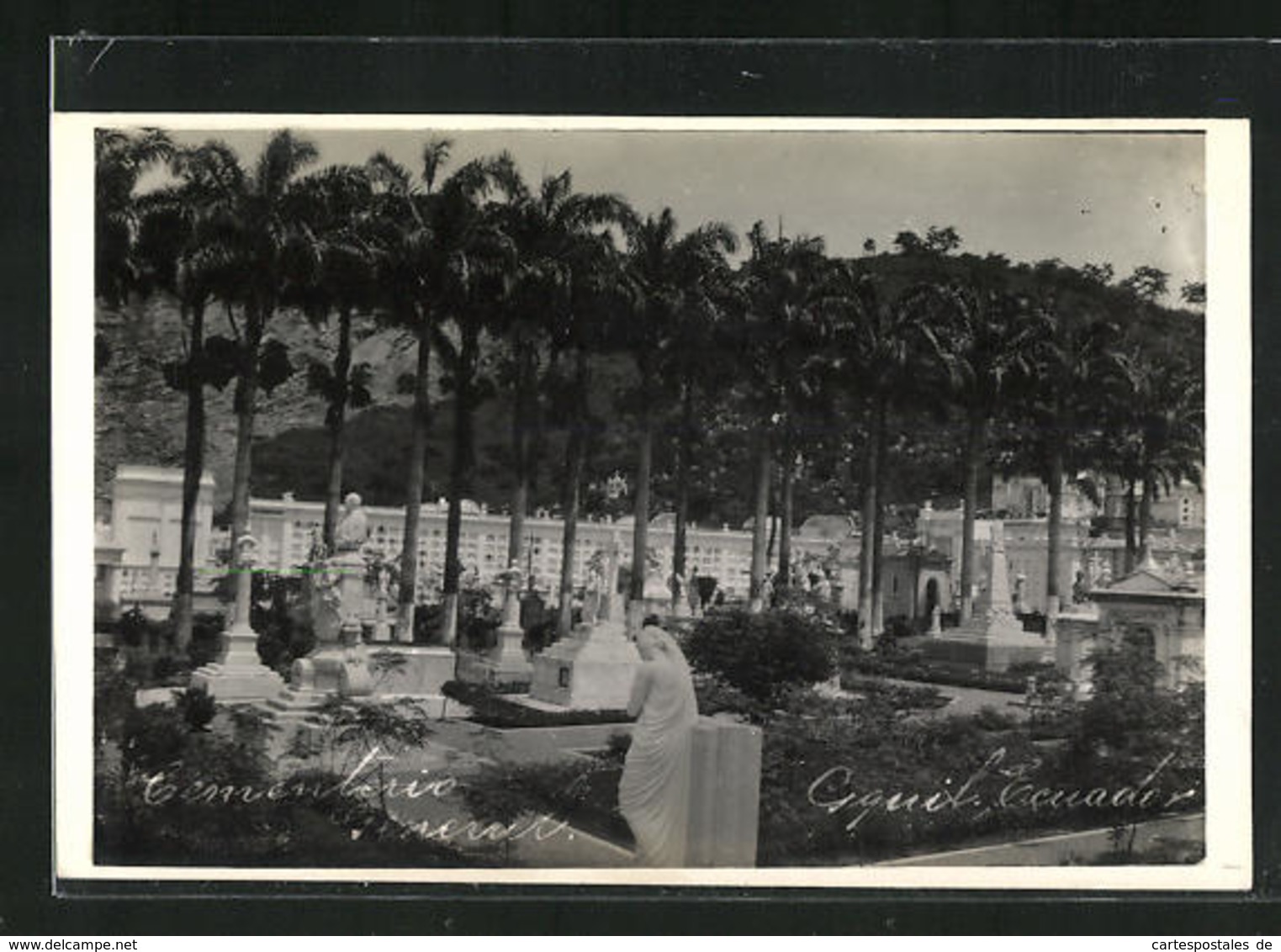 AK Guayaquil, Blick Auf Den Friedhof - Ecuador