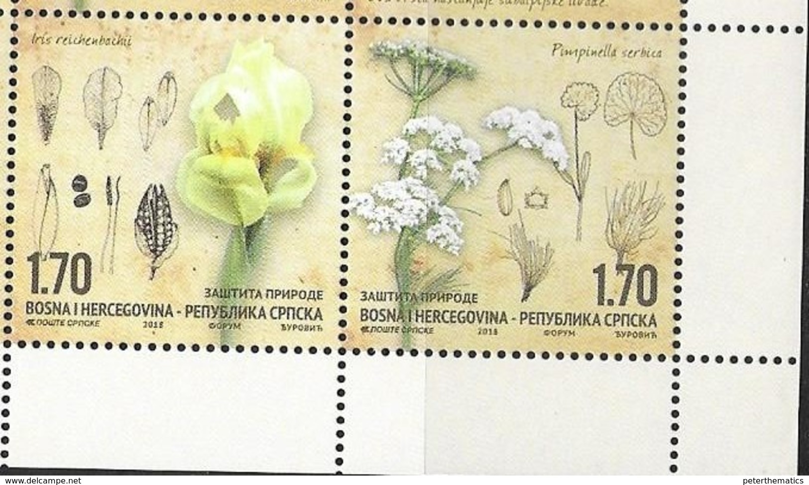 BOSNIA SERB,  2018, MNH, NATURE PROTECTION, FLOWERS, 2v - Other & Unclassified