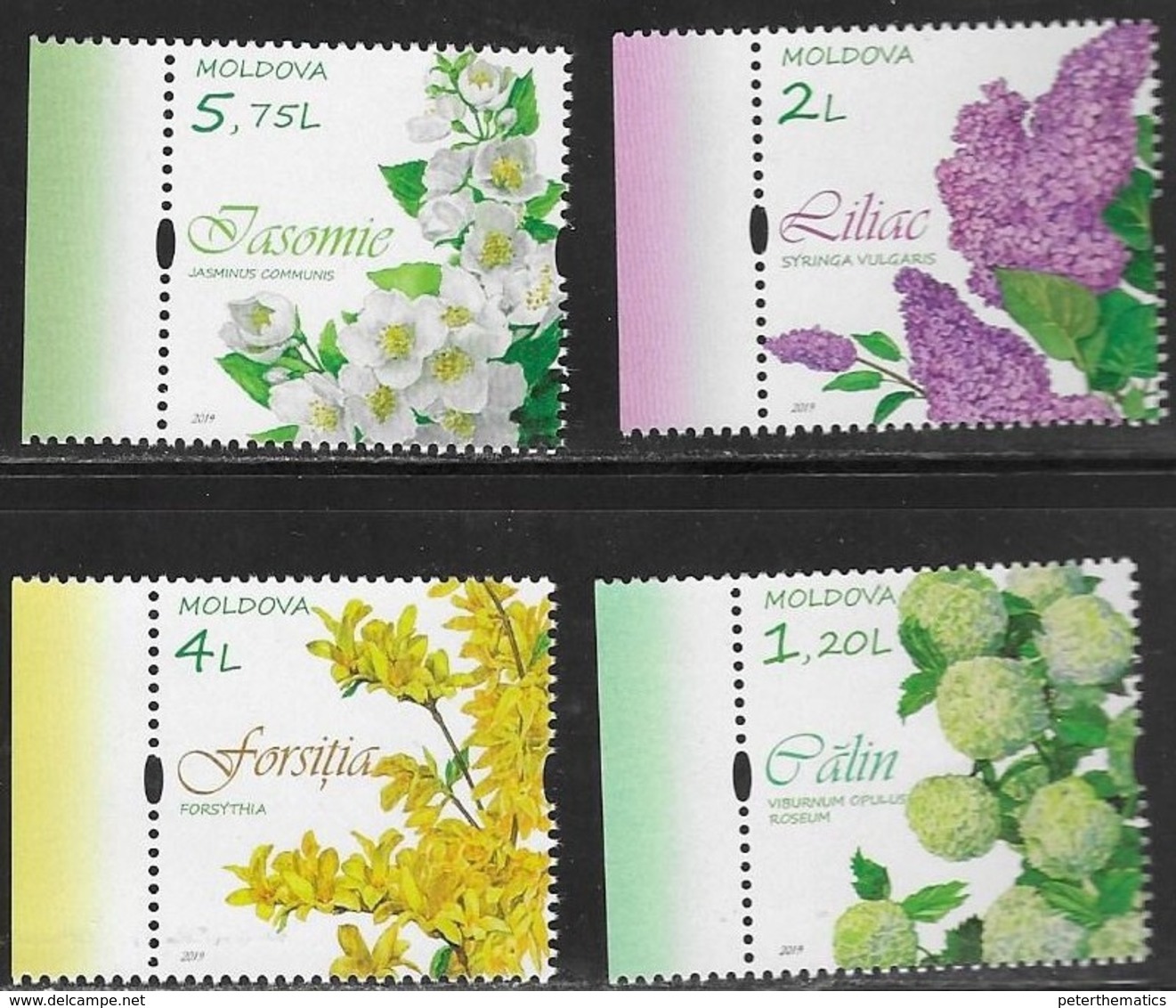 MOLDOVA,  2019, MNH, PLANTS, FLOWERS, 4v - Other & Unclassified