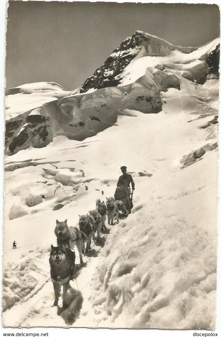 W4228 Jungfraubahn - Polarhunde Mit Rottalhorn / Viaggiata 1949 - Altri & Non Classificati