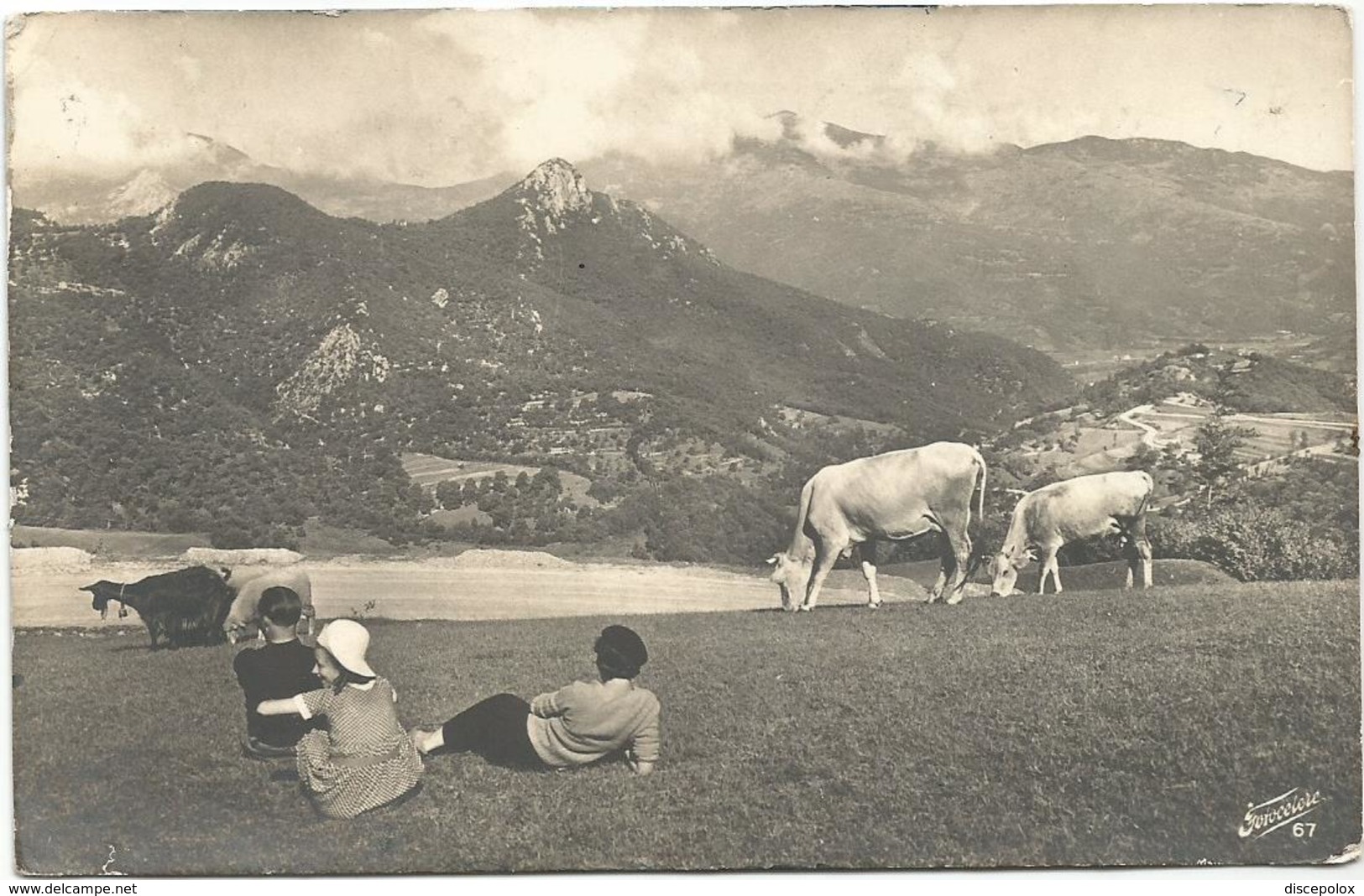 W4246 Paesaggio Paysage Landscape - Vacca, Mucca, Cow, Koe, Vache, Vaca / Viaggiata 1943 - Cows