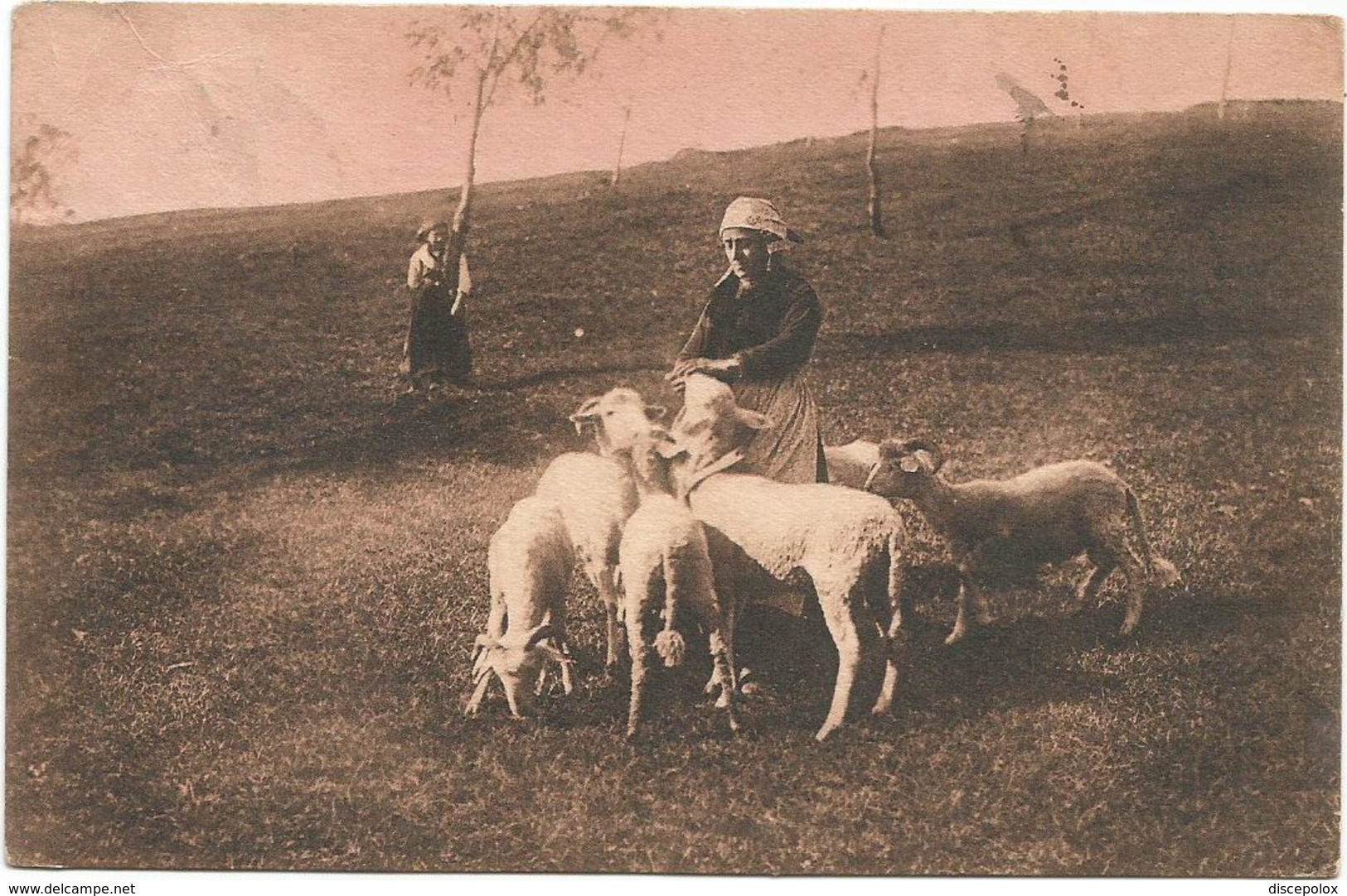 W4250 Chèvre Ziege Goat Capra / Viaggiata 1931 - Altri & Non Classificati