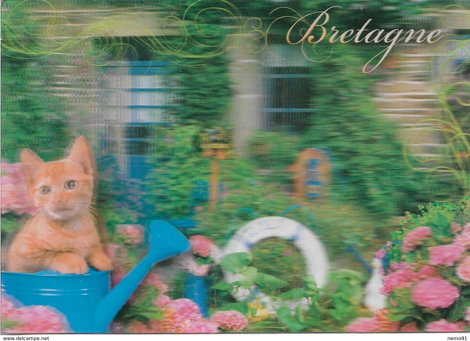 CHATS - 1 CHAT SUR UN ARROSOIR DEVANT UNE MAISON FLEURIE - CARTE LENTICULAIRE - LA BRETAGNE EN 3 D - CPM - VIERGE - - Cats