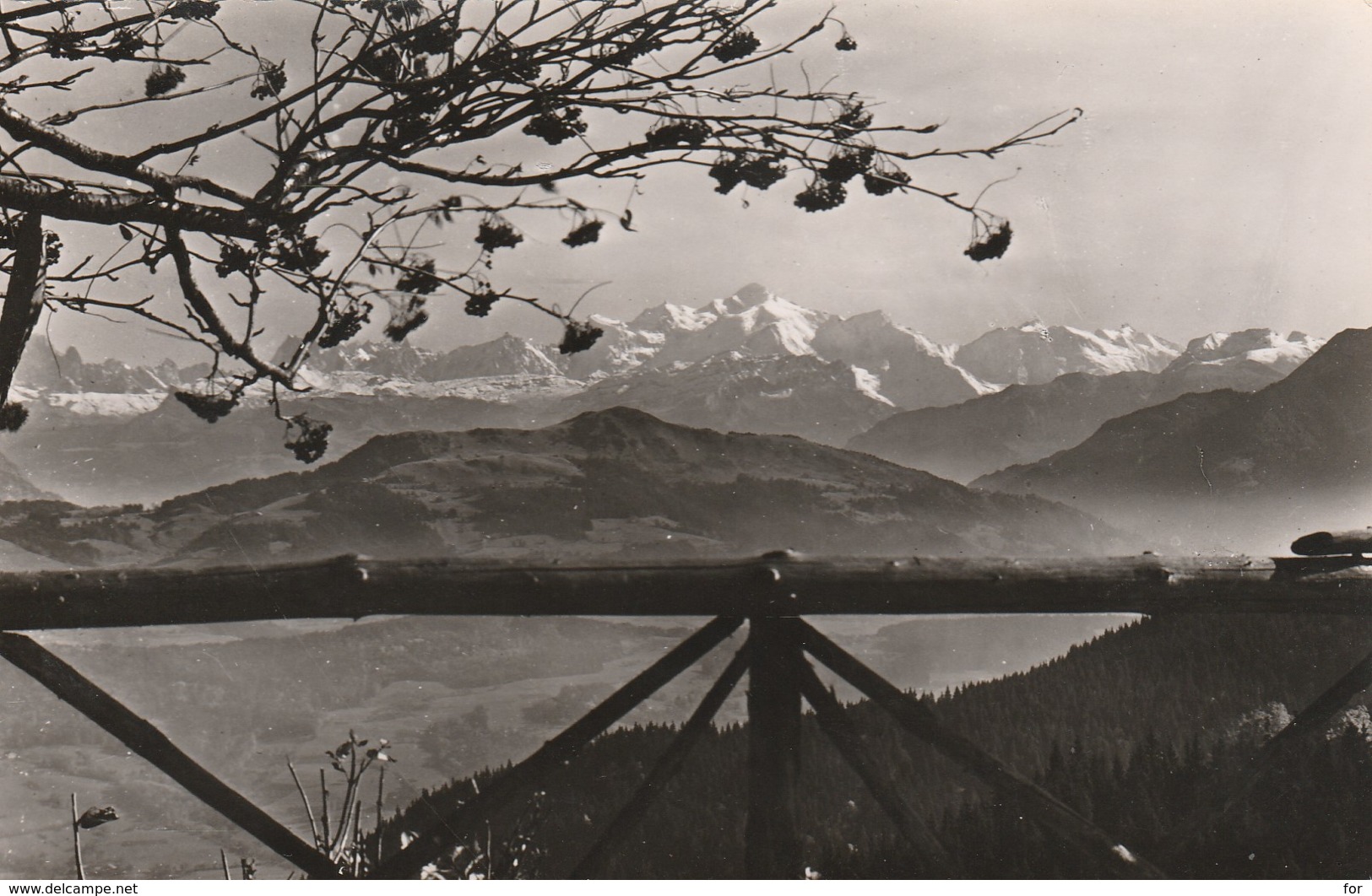 Haute Savoie : BOEGE : N.-d. Des Voirons : Le Mont Blanc Vu De La Terrasse ( C.p.s.m. - Photo Vérit. ) - Boëge