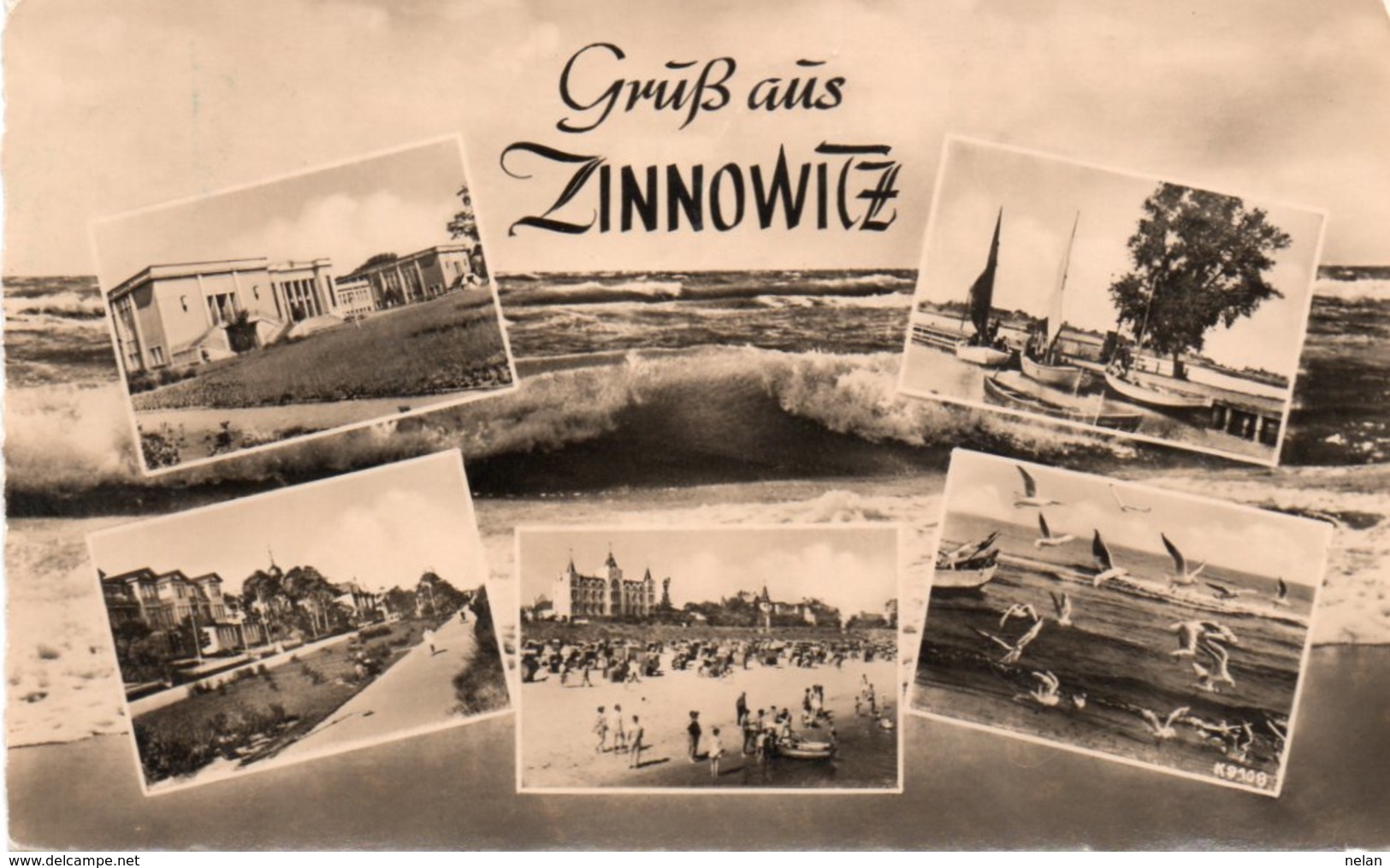 GRUSS AUS ZINNOWITZ-VIAGGIATA 1960  -REAL PHOTO - Zinnowitz