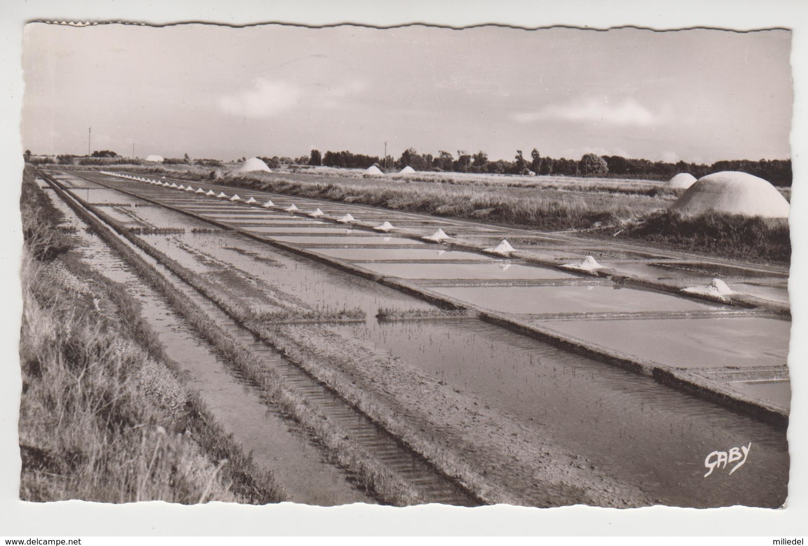 CC 078 /   ILE  DE  RE  /  Marais Salants .. Exploitation Des Laboratoires  DERAMBURE - Ile De Ré