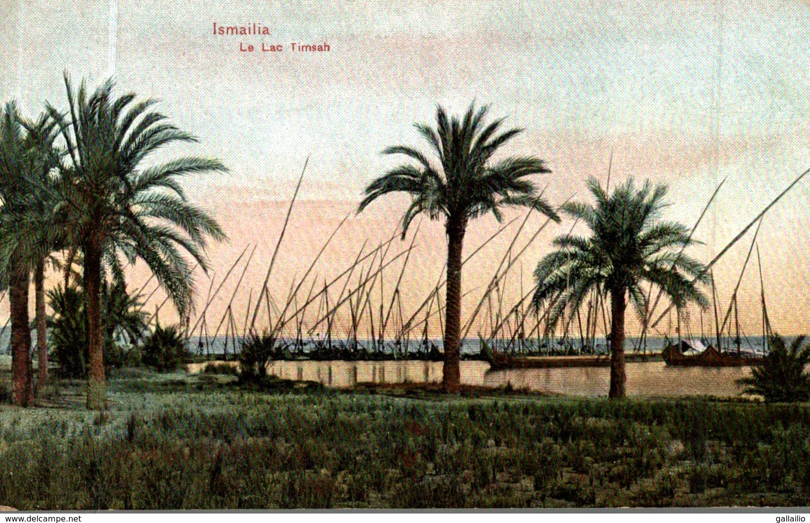 ISMAILIA LE LAC TIMSAH - Ismaïlia