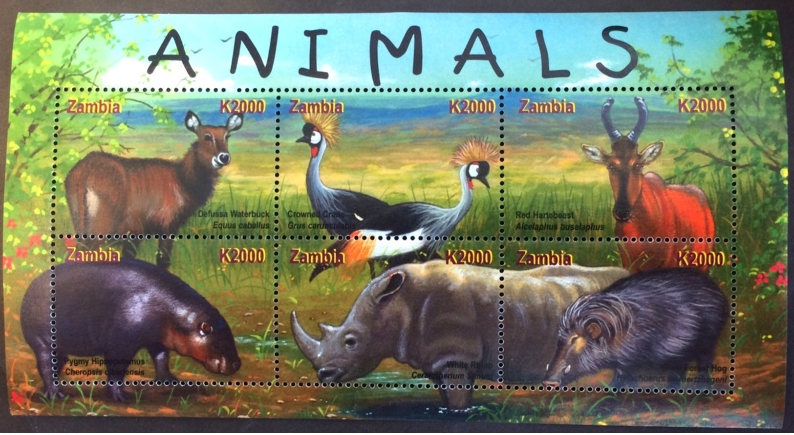 Zambia 2001  African Fauna , MNH [21;150] - Otros & Sin Clasificación