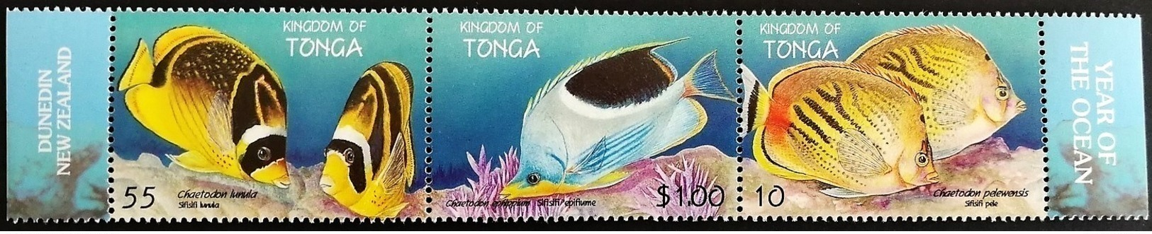 # Tonga 1998** Mi.1536-38  International Year Of The Ocean , MNH  [19;172] - Peces