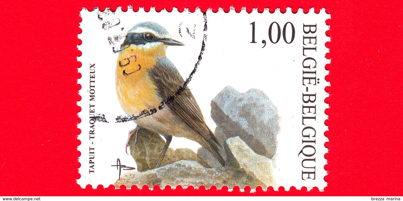 BELGIO - Usato - 2002 - Uccelli Di Buzin - Culbianco - Northern Wheatear (Oenanthe Oenanthe) - 1.00 - 1985-.. Uccelli (Buzin)