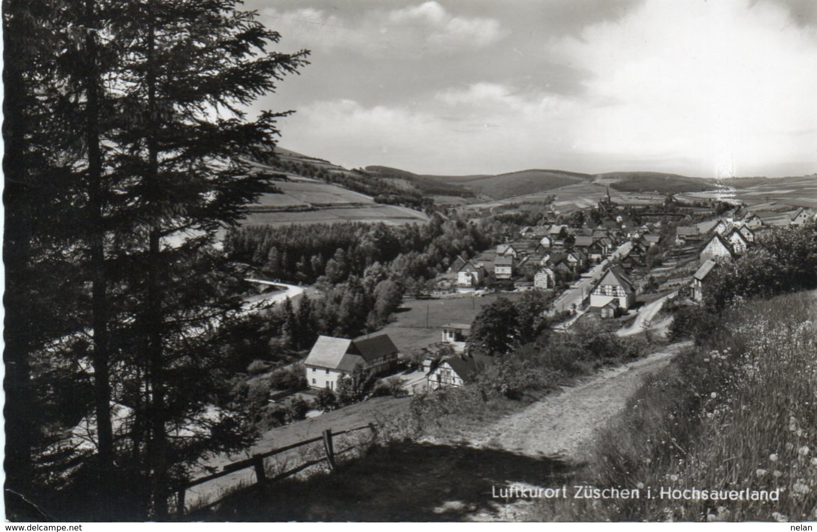 LUFTKURORT ZUSCHEN I HOCHSAUERLAND- VIAGGIATA -1960  -REAL PHOTO - Brilon