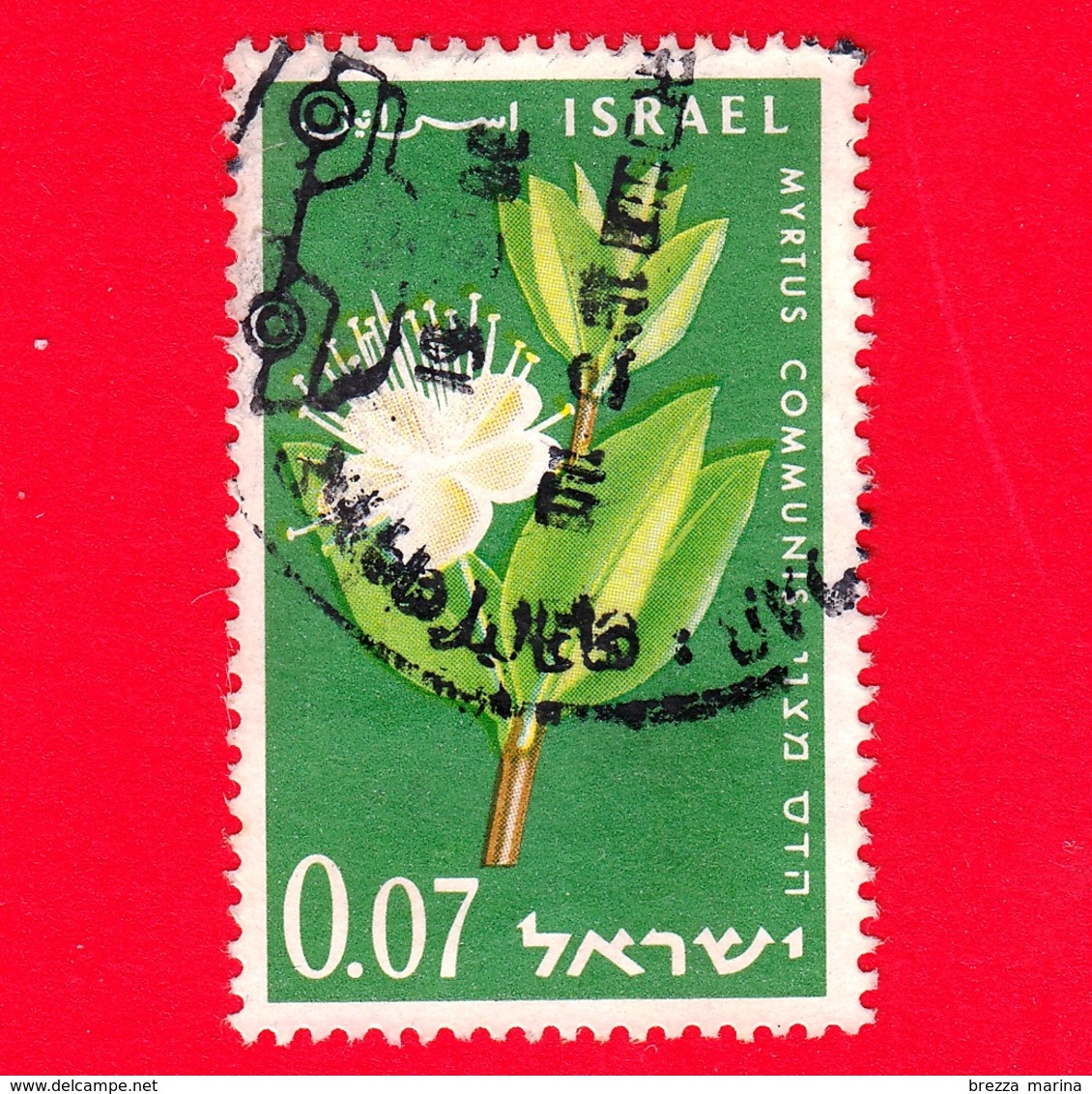 ISRAELE - Usato - 1961 - Anniversario Dell'indipendenza (13°) - Fiori - Mirto - Myrtus Communis - 0.07 - Usati (senza Tab)