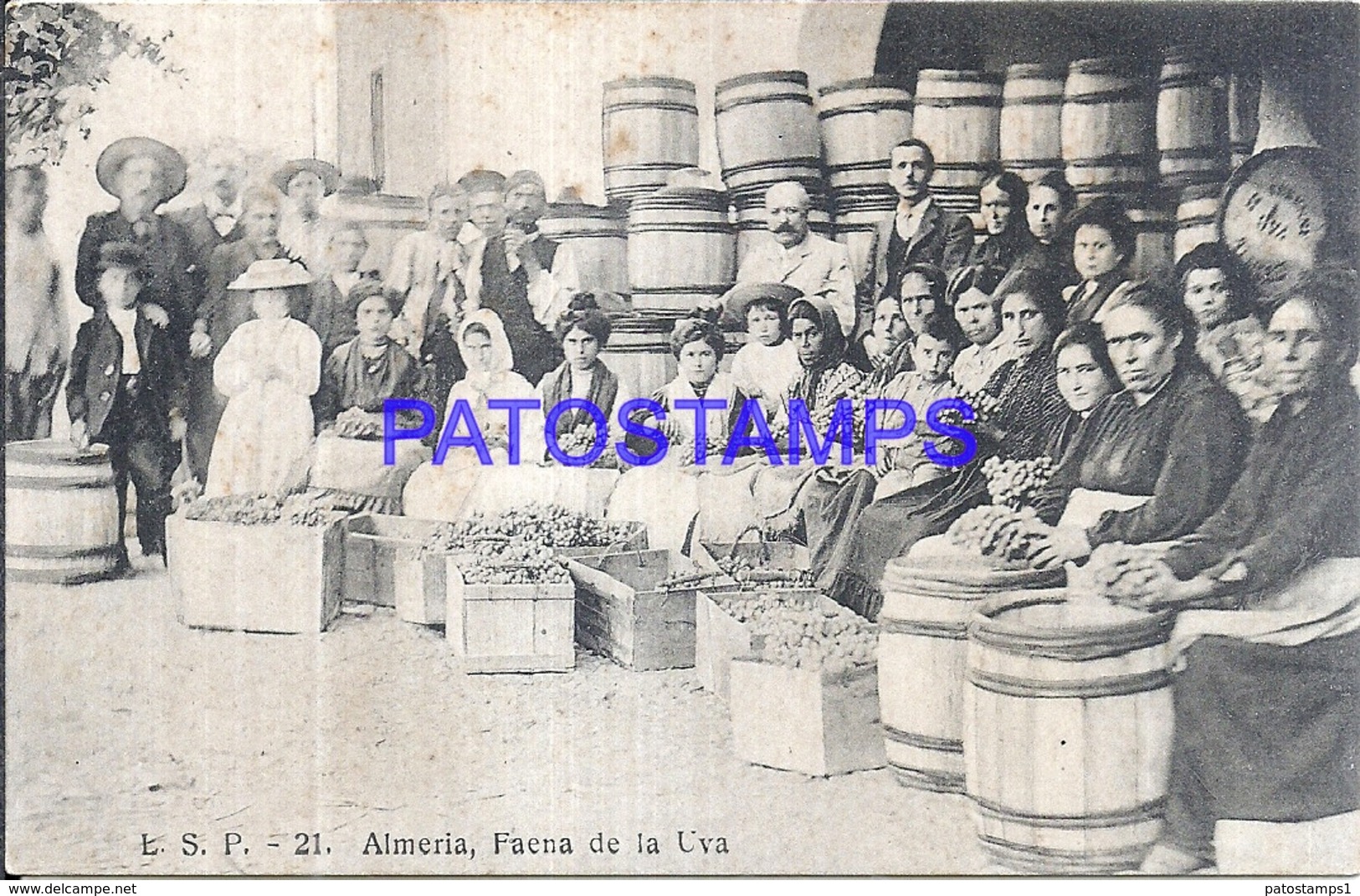 117654 SPAIN ESPAÑA ALMERIA ANDALUCIA COSTUMES FAENA DE LA UVA POSTAL POSTCARD - Autres & Non Classés